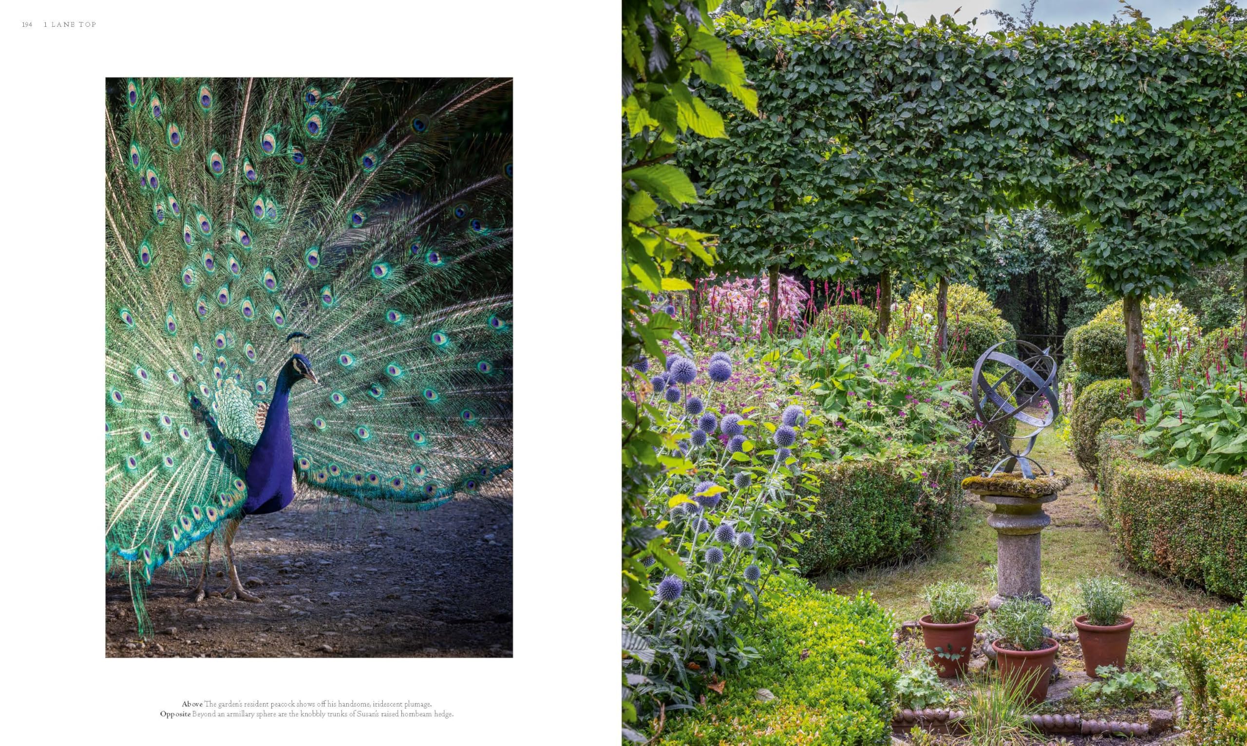 Cottage Gardens: A Stunning Tour of Bucolic British Gardens