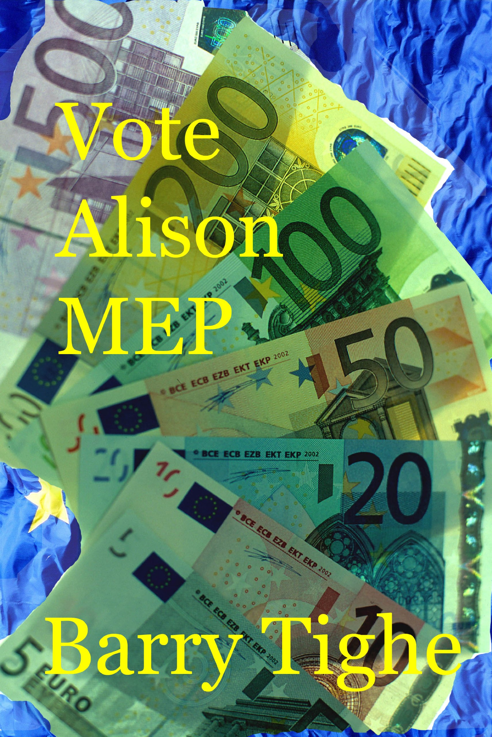 Vote Alison MEP: Alison Runs for European Union Office