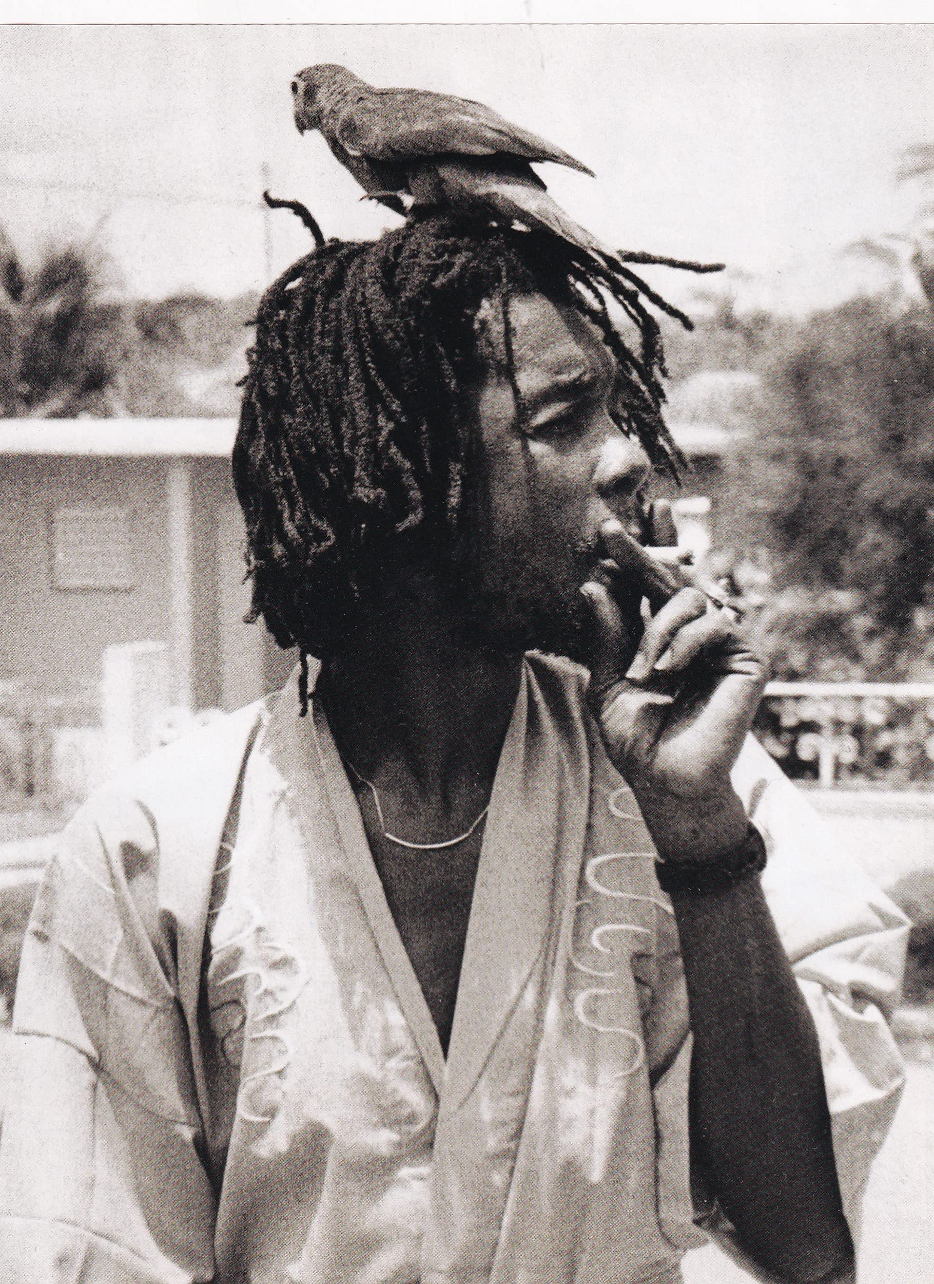 k1 Peter Tosh, Kingston, 1970s - Miniature Poster & Card Frame