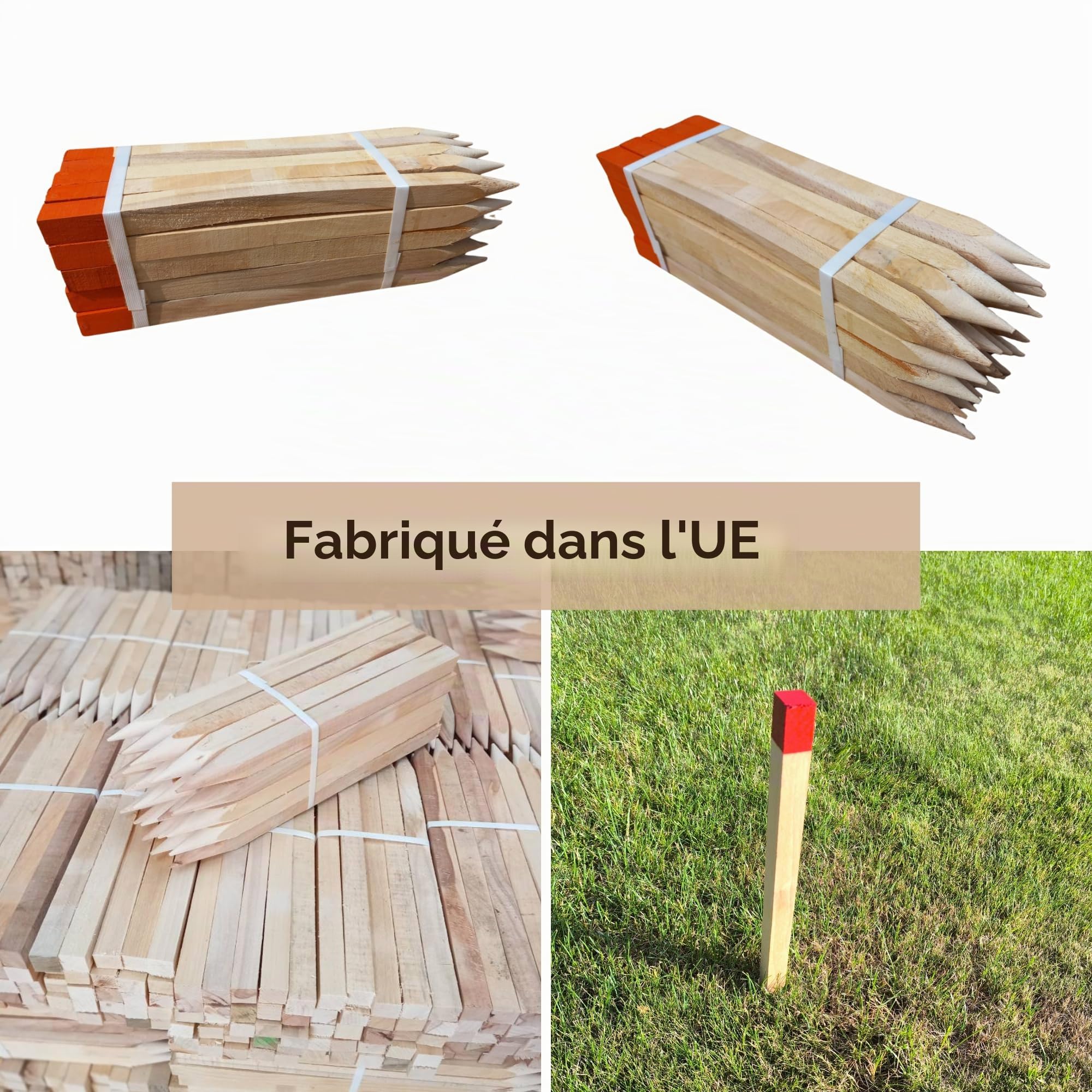 50 Piquets en Bois Hêtre 25x25 mm – Longueur 80 cm – Pointe Rouge Vernie – Piquets de Bornage Géodésiques pour Marquage Terrain – Piquets de Jardin Robustes Tuteurs Clôture