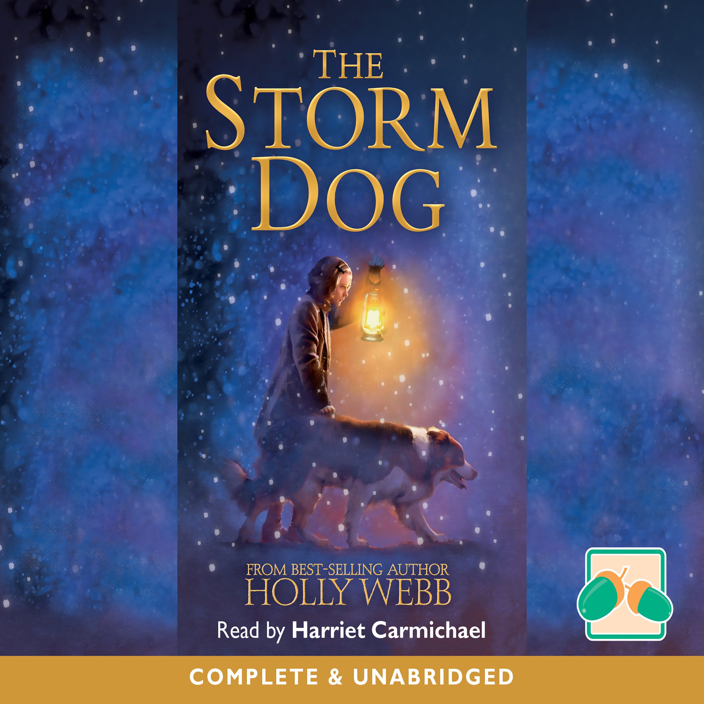 Cover art for The Storm Dog