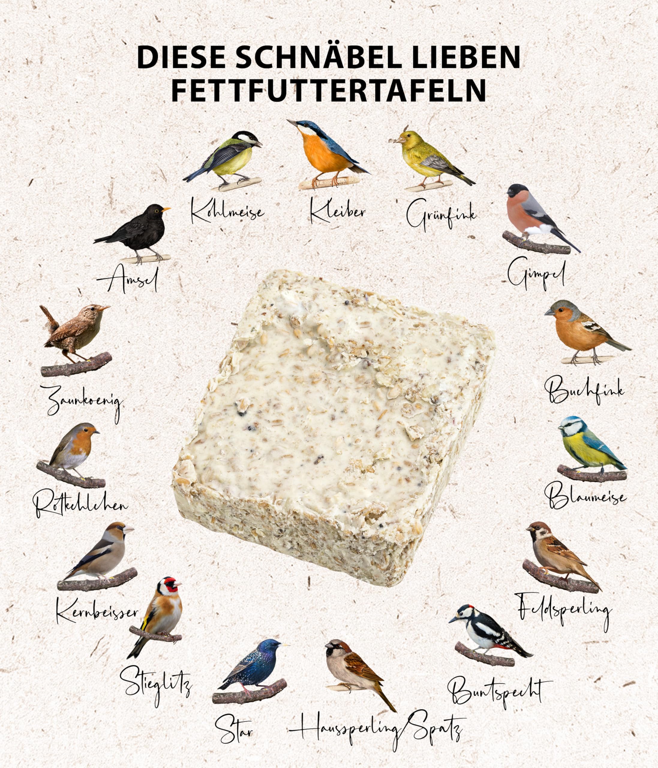 Dehner Natura Wildvogelfutter-Tafeln | Vogelfutter, Fettfutter mit Insekten | Ergänzungsfutter für Körner- und Weichfutterfresser | Ganzjahresfutter für Rotkehlchen, Blaumeise, Zaunkönig | 12 x 300 g