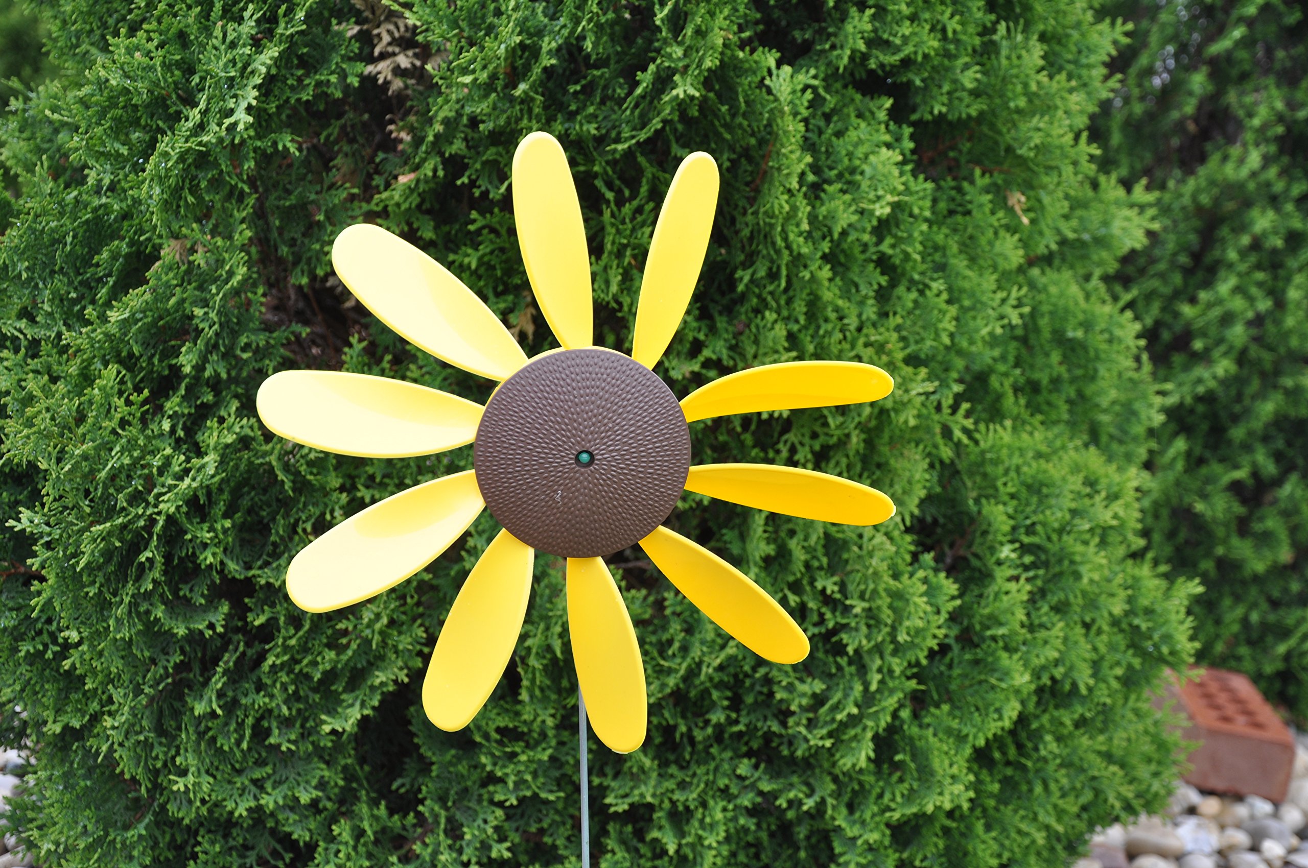 Classic spinning Daisy (X6 case) girasole