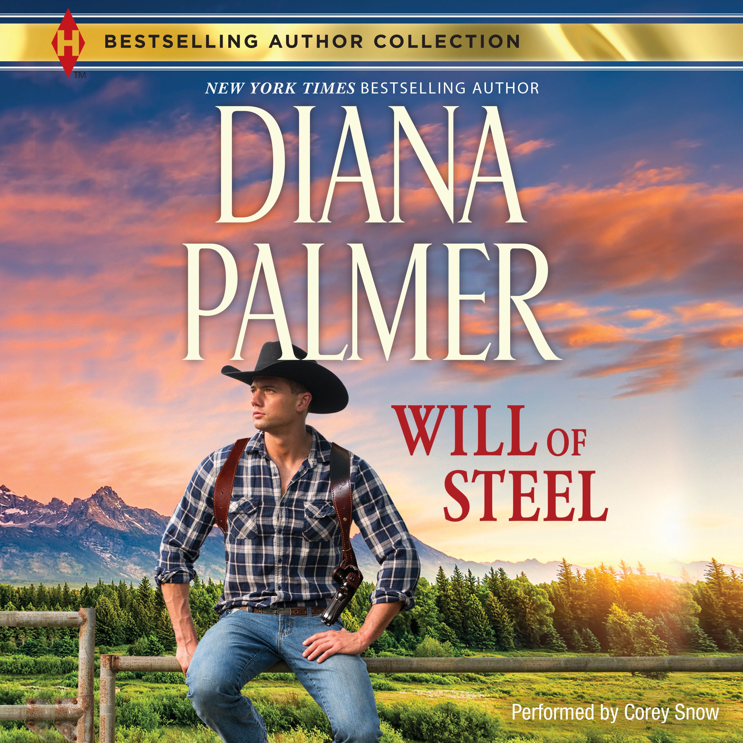 Cover art for Will of Steel