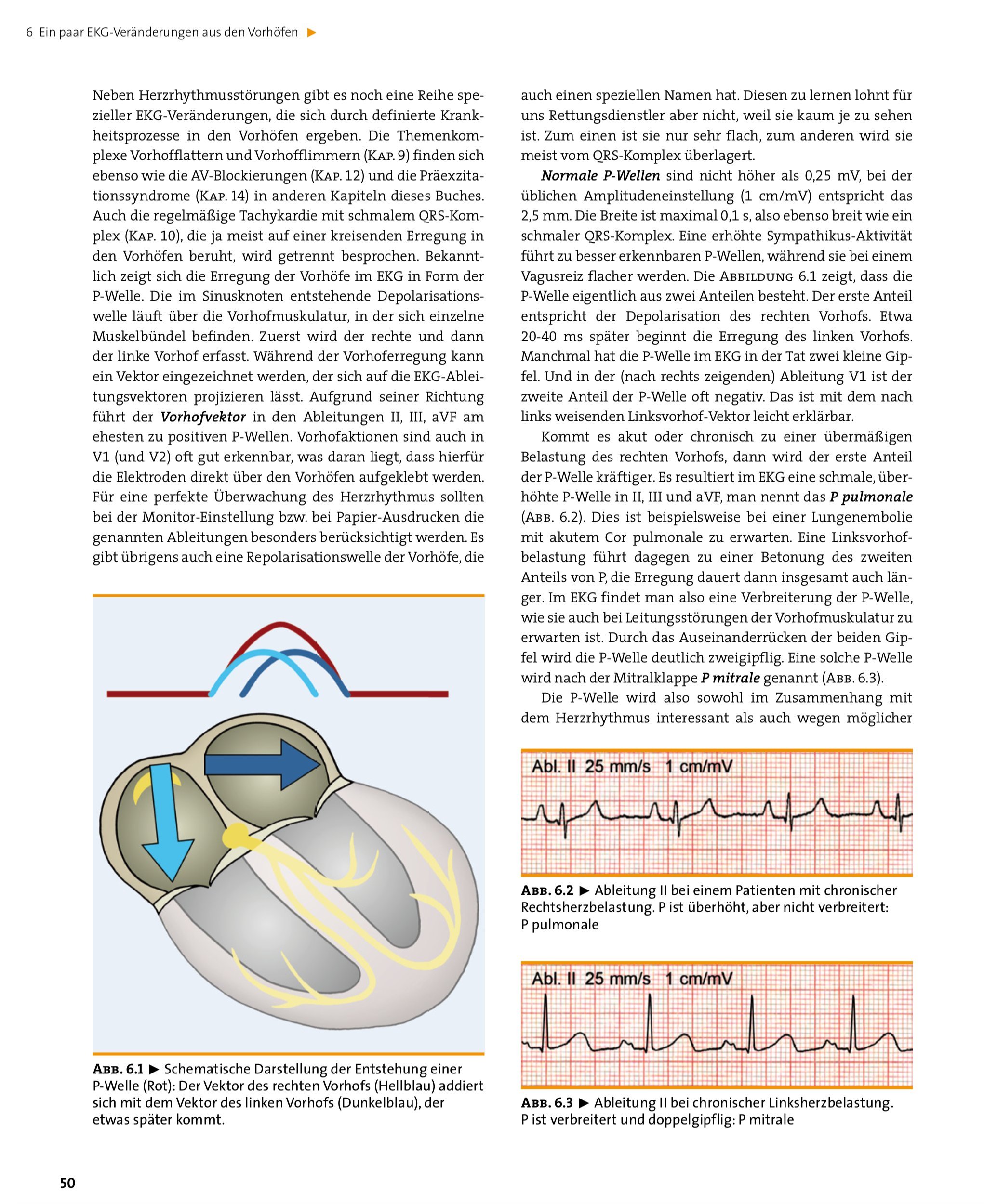 EKG in der Notfallmedizin: Grundlagen – Auswertung – Therapie