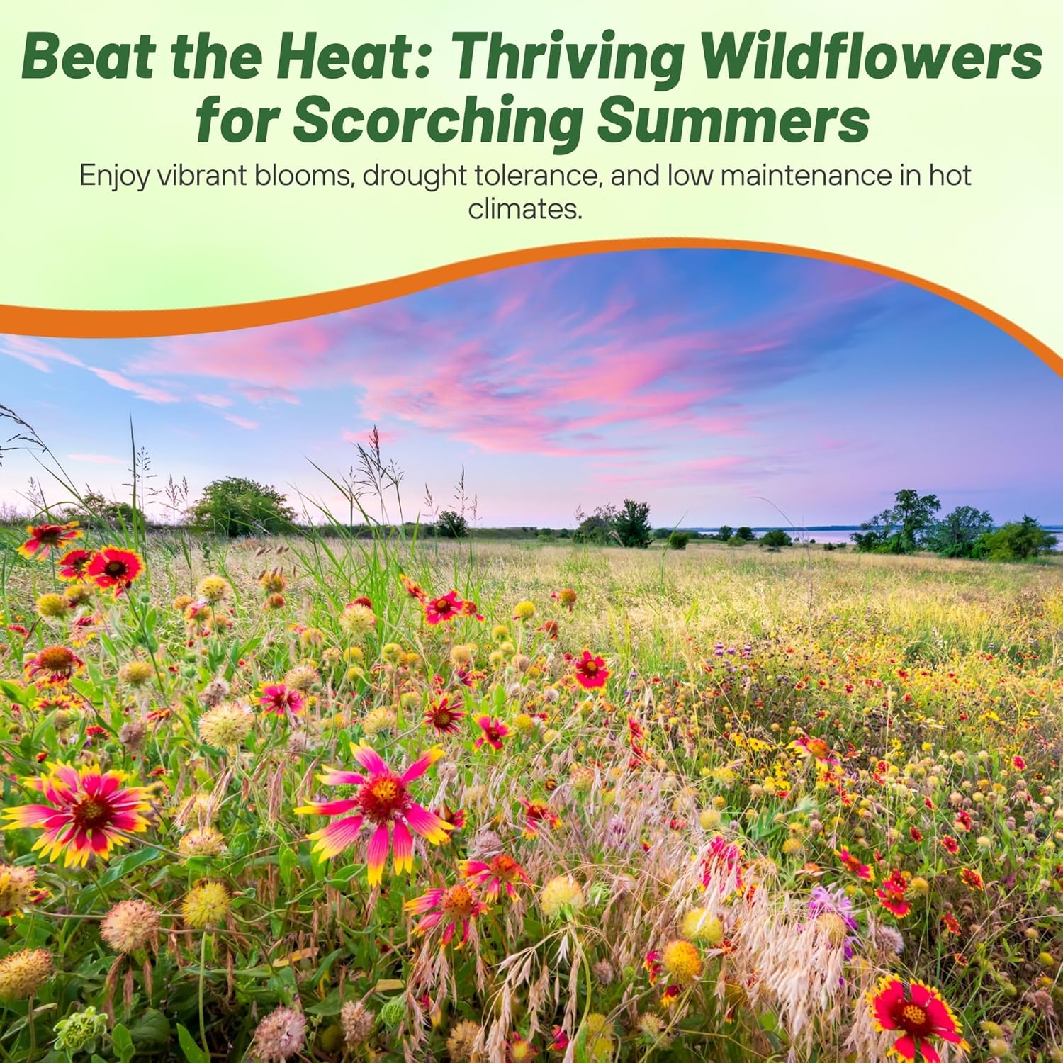 Outsidepride Southwest Wild Flower Seed Mix - 5 lbs. Heat & Drought Tolerant Premium Blend of Annual & Perennial Wildflower Seeds for Planting on Outdoor Lawns & Gardens from Spring to Fall