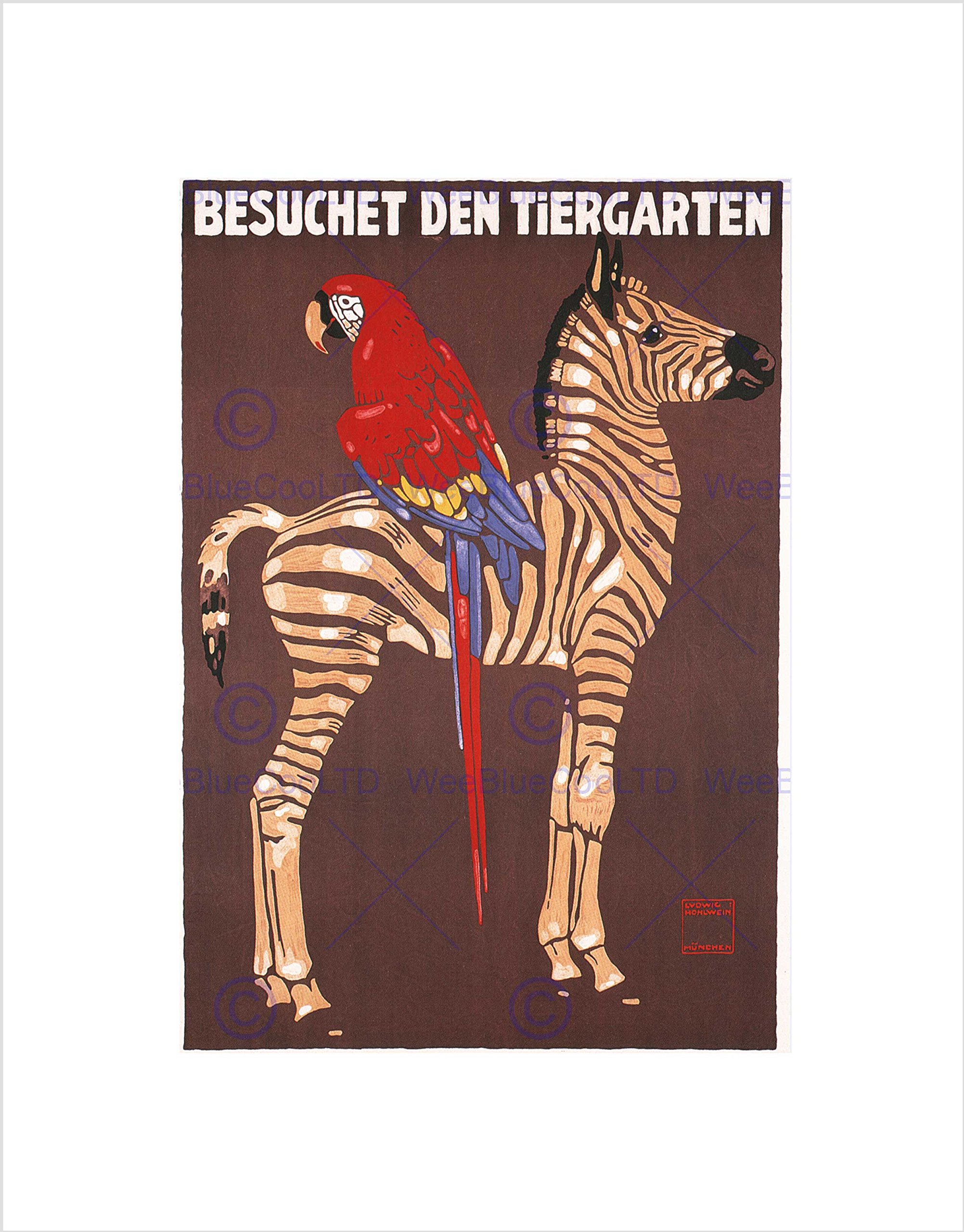 Wee Blue Coo EXHIBITION COMMERCIAL AD ZOO ZEBRA PARROT GERMANY VINTAGE FRAMED PRINT B12X2814