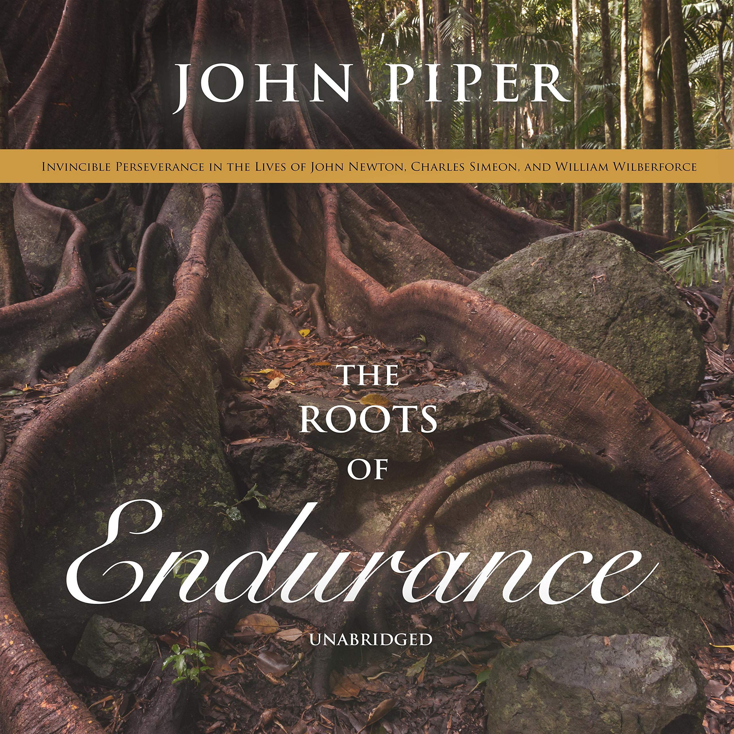 Cover art for The Roots of Endurance