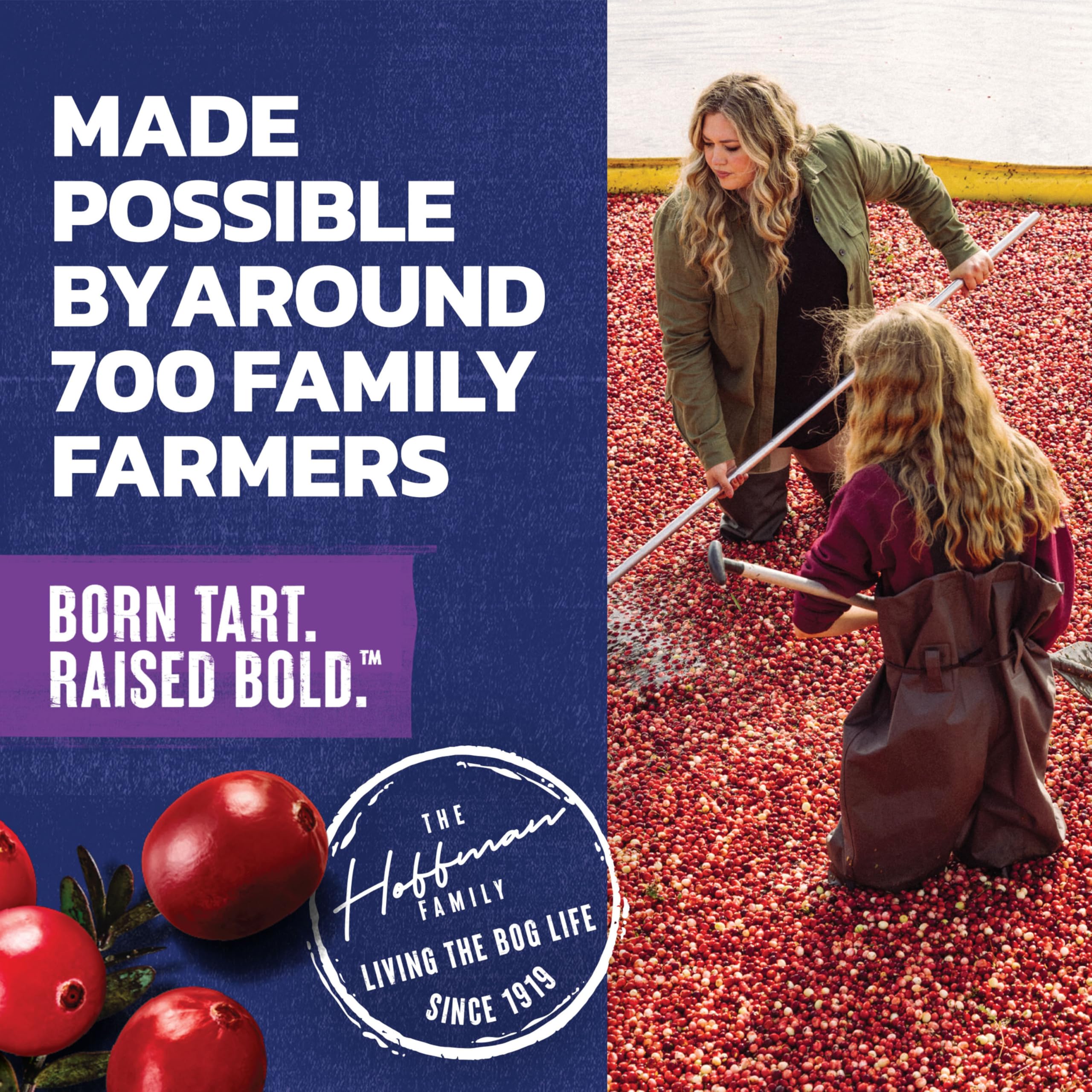 Ocean Spray Cran-Grape Cranberry Grape Juice Drinks 10 Fl Oz Bottles 6 Count — view 7