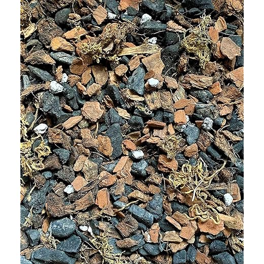 Kolkata Orchid Potting Mix 800g