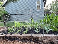 Review Image by Alayne Alayne