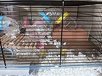 Review Image by Rebecca Rebecca