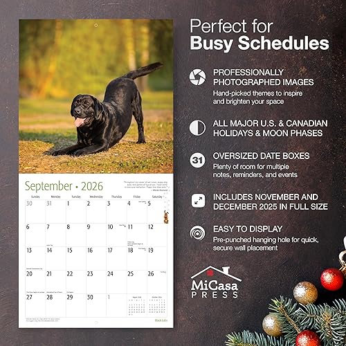 Miniatura 8 de MICASA - Calendario mensual de pared colgante para cachorros de pastor alemán 2023  12 x 24 pulgadas abierto  Papel grueso y resistente  Regalar