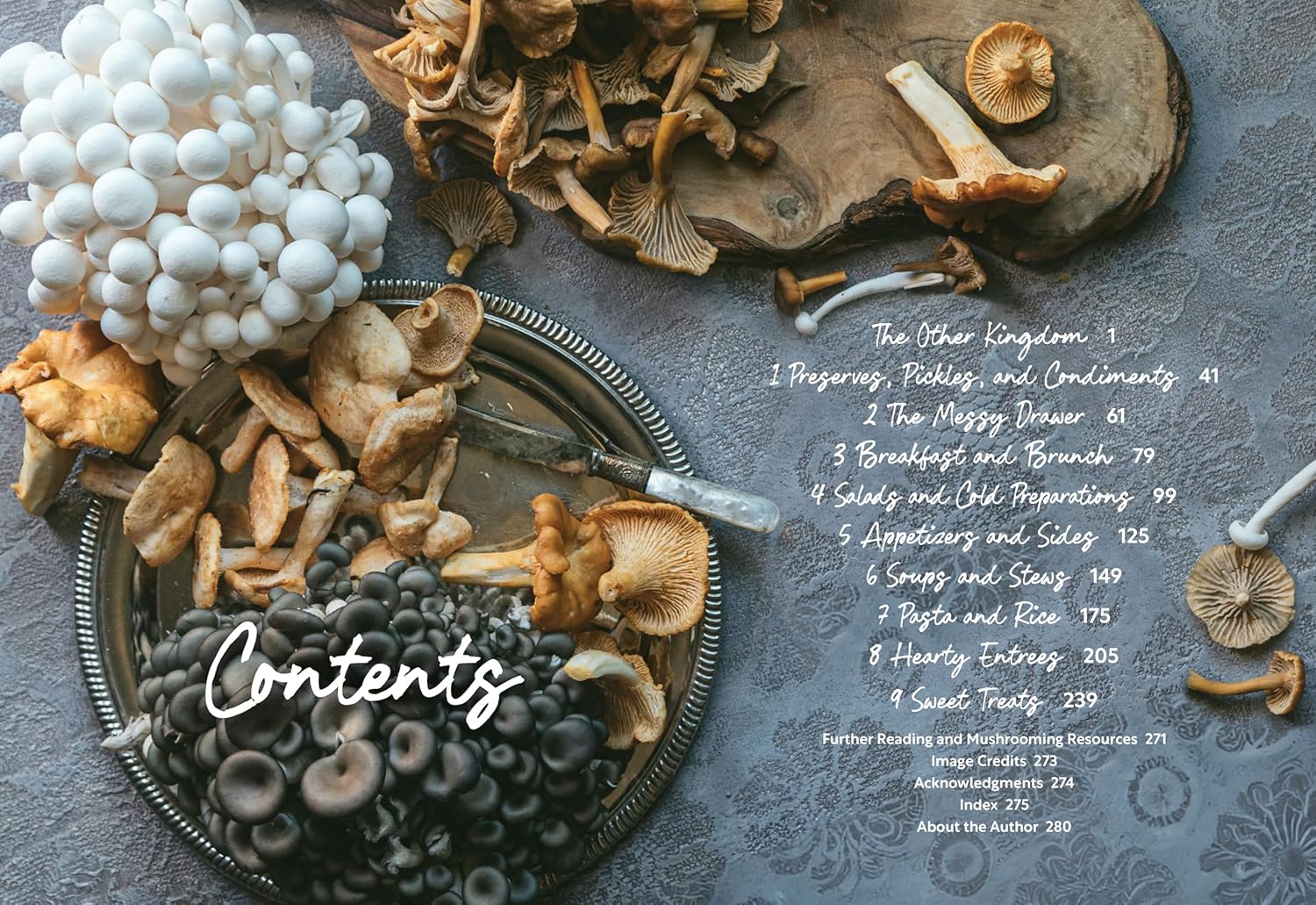 The Mushroom Hunter’s Kitchen: A Culinary Homage to Wild and Cultivated Mushrooms―with 120 Recipes      Hardcover – July 22, 2025