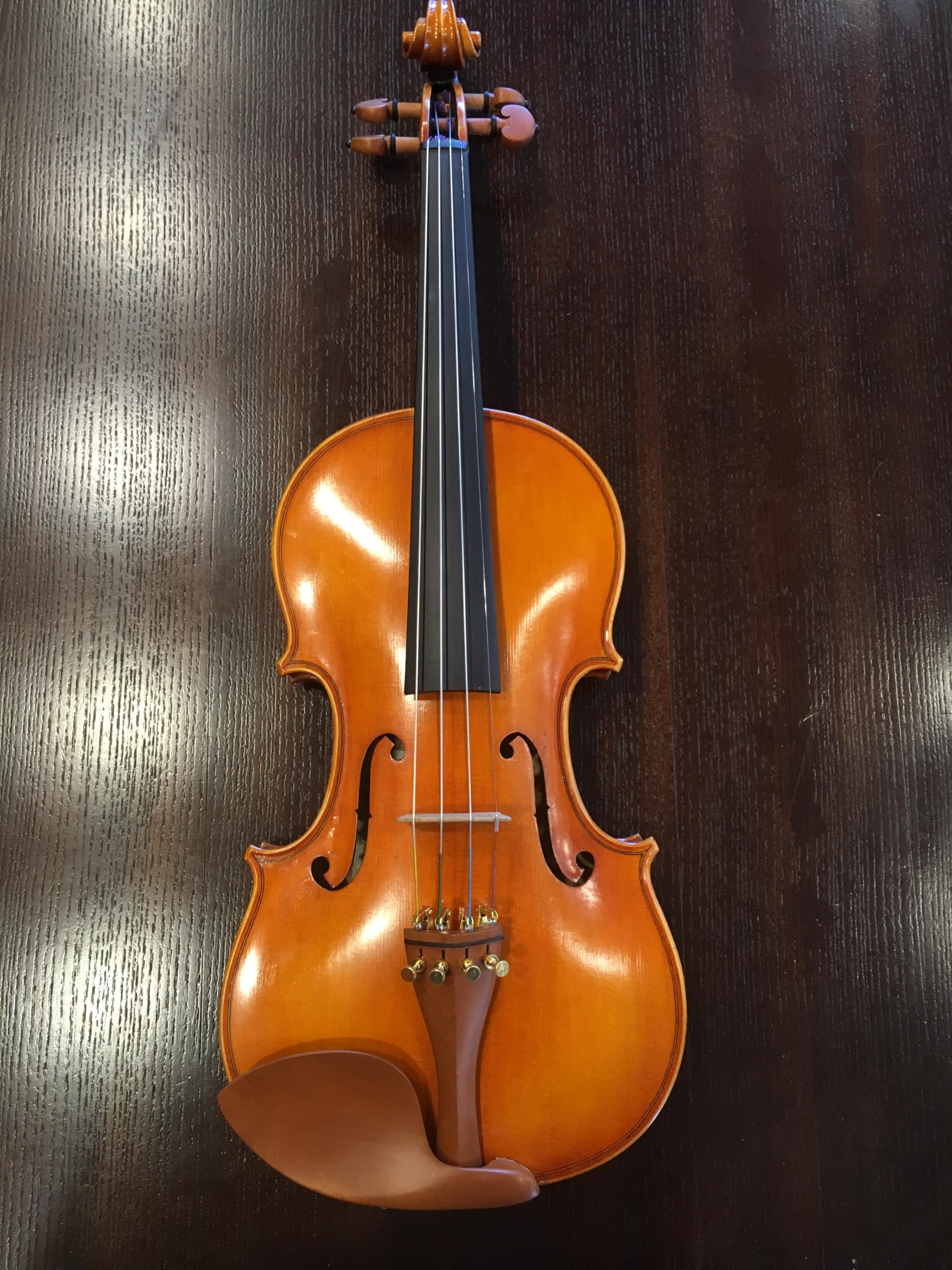 Amazon.com: D Z Strad Model 220 Violin with Dominant strings, bow