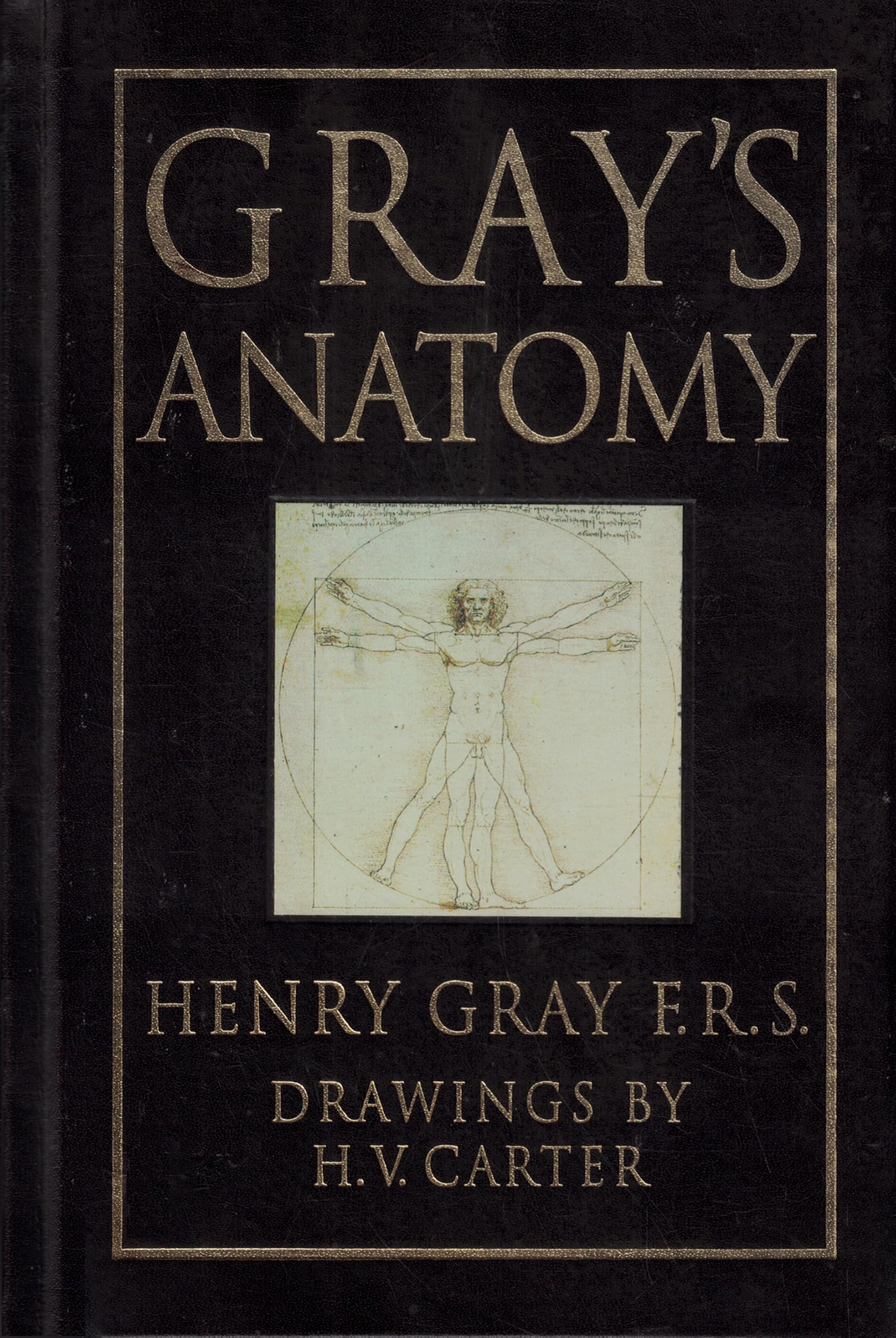 Amazon.co.jp: Gray's Anatomy : 本