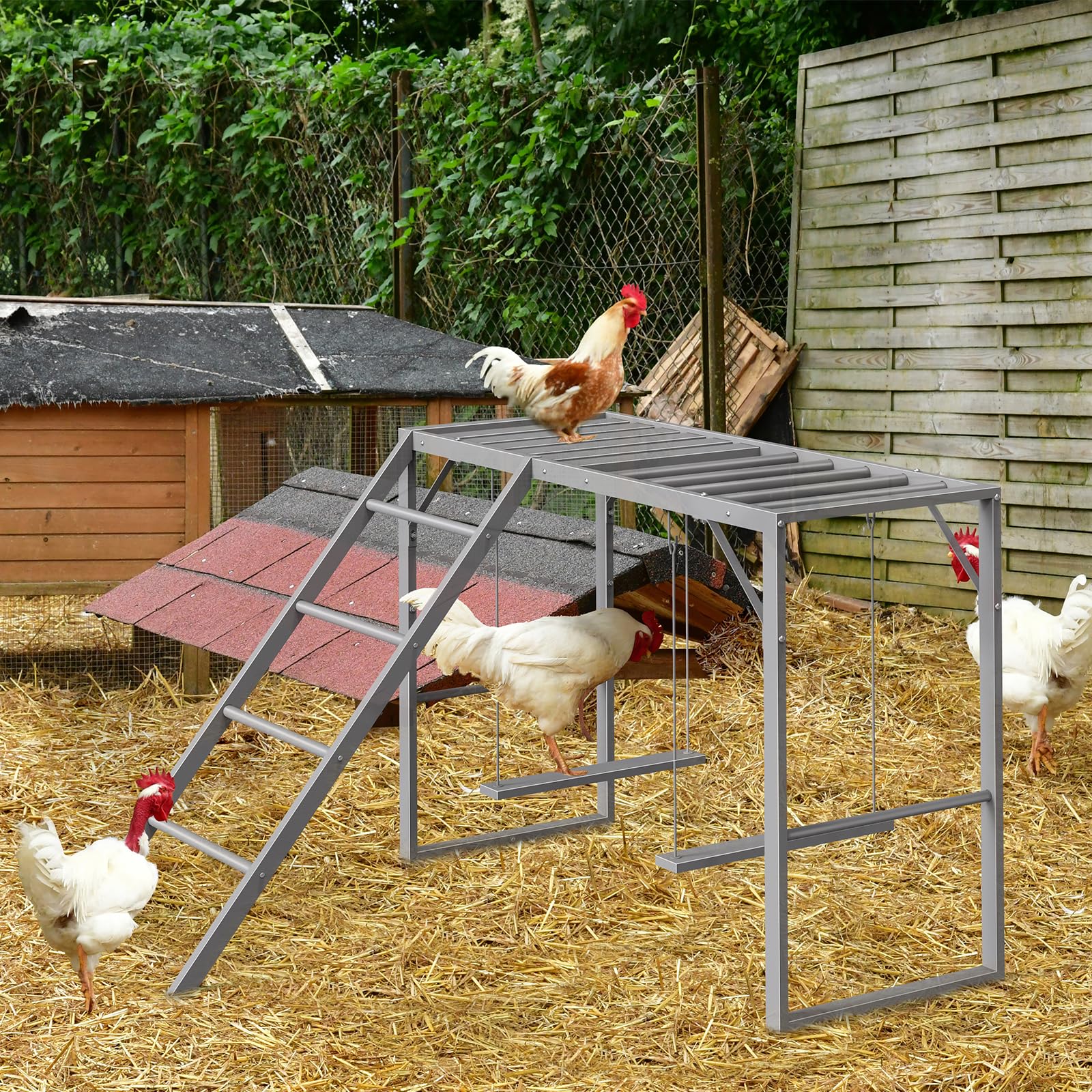 CADUKE Percha de pollo con juegos de columpios para 5-8 pájaros, juguetes de pollo, barras de pollo para accesorios de gallinero, escalera de pollo para la salud y la felicidad de las mascotas, gris