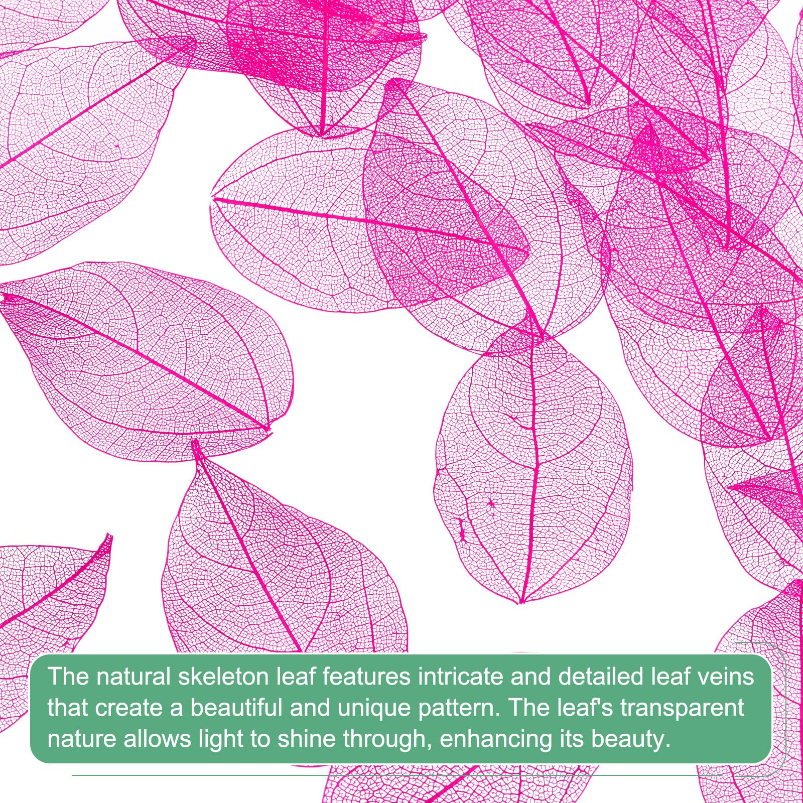 M METERXITY 200-Pack Skeleton Leaves - Image 2