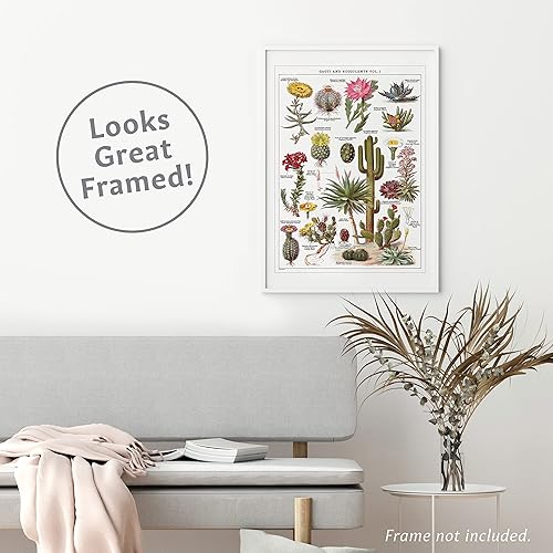 Miniatura 6 de Palace Learning Juego de 2 pósteres de suculentas y cactus y hongos vintage, tabla de referencia de cactus y micología (laminado, 18 x 24)