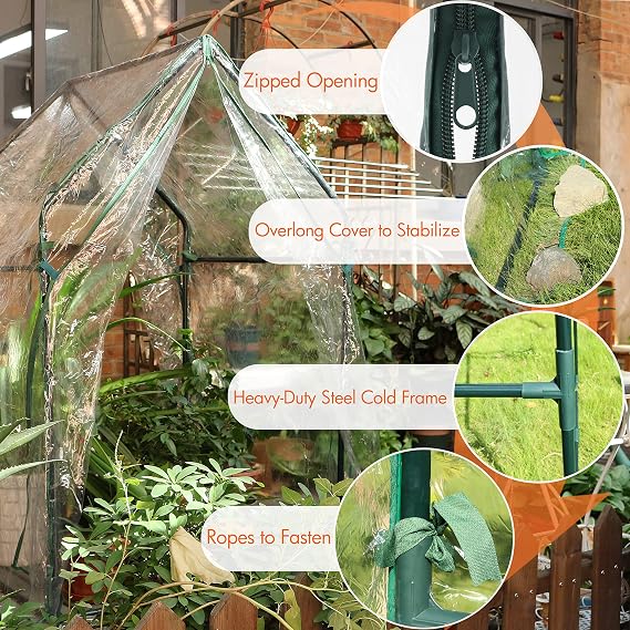 Gardzen Mini Greenhouse 36.2(L) x36.2(W) x59.5(H)