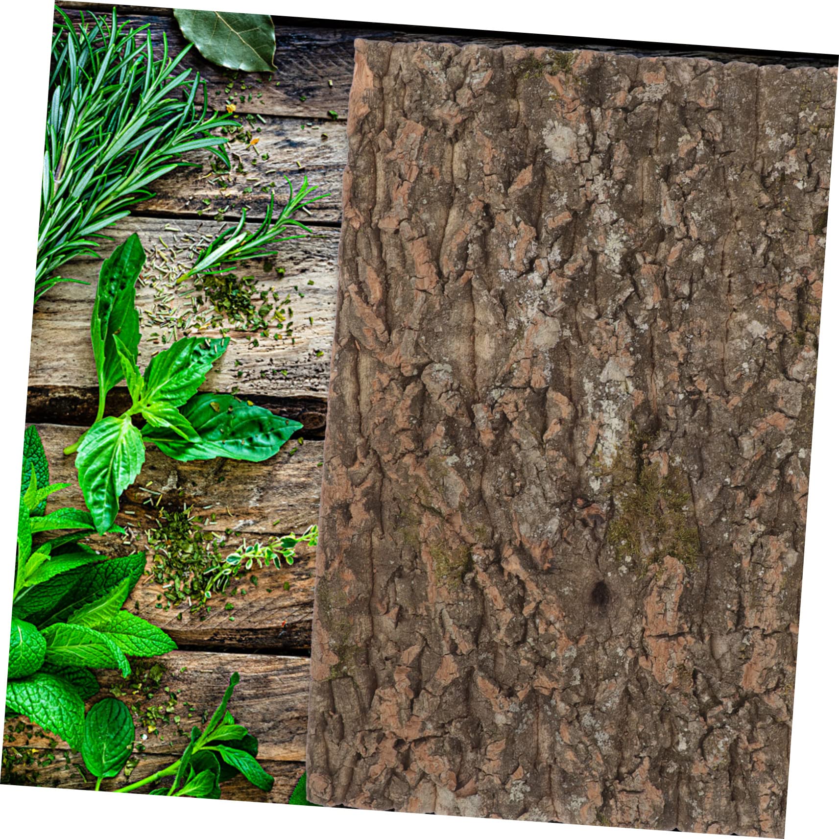 UPKOCH Corteza De Corcho para Reptiles Diseño Natural, Plataforma para Lagartos y Fondo Decorativo para Acuarios De Reptiles En Hábitat Simulado