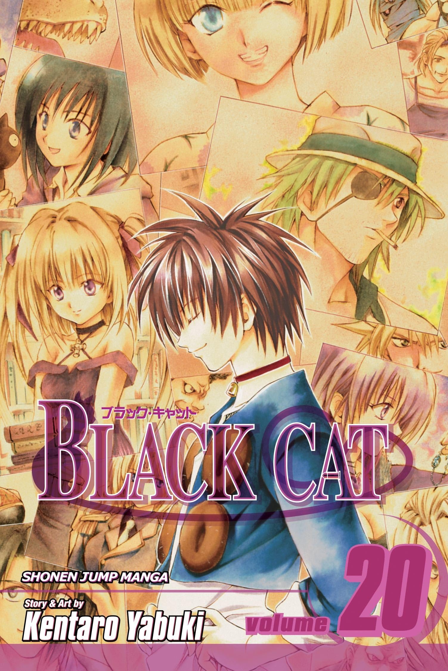 Black Cat, Vol. 20