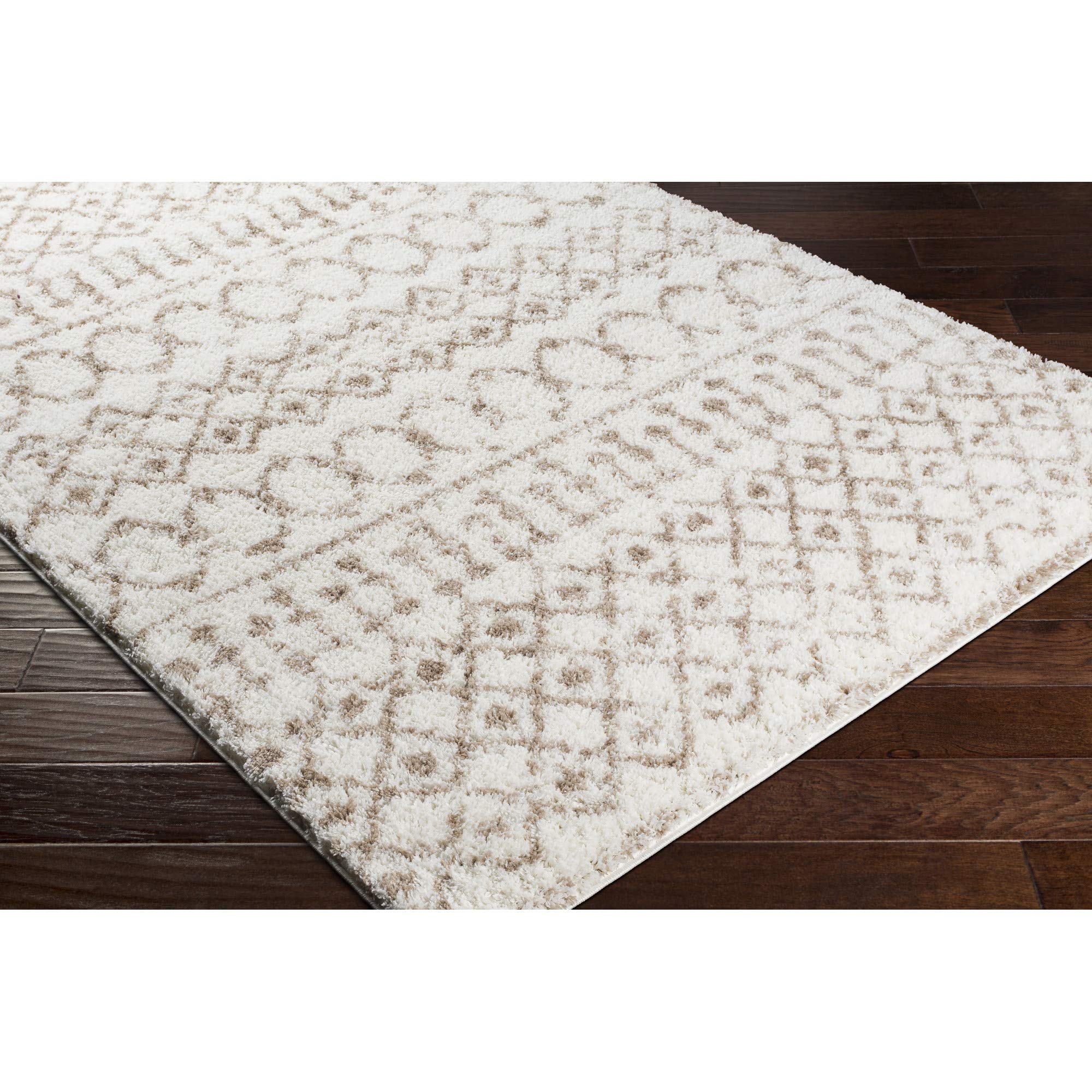 Artistic Weavers Anita Bohemian Shag Area Rug, 5'3" x 7'3", Beige