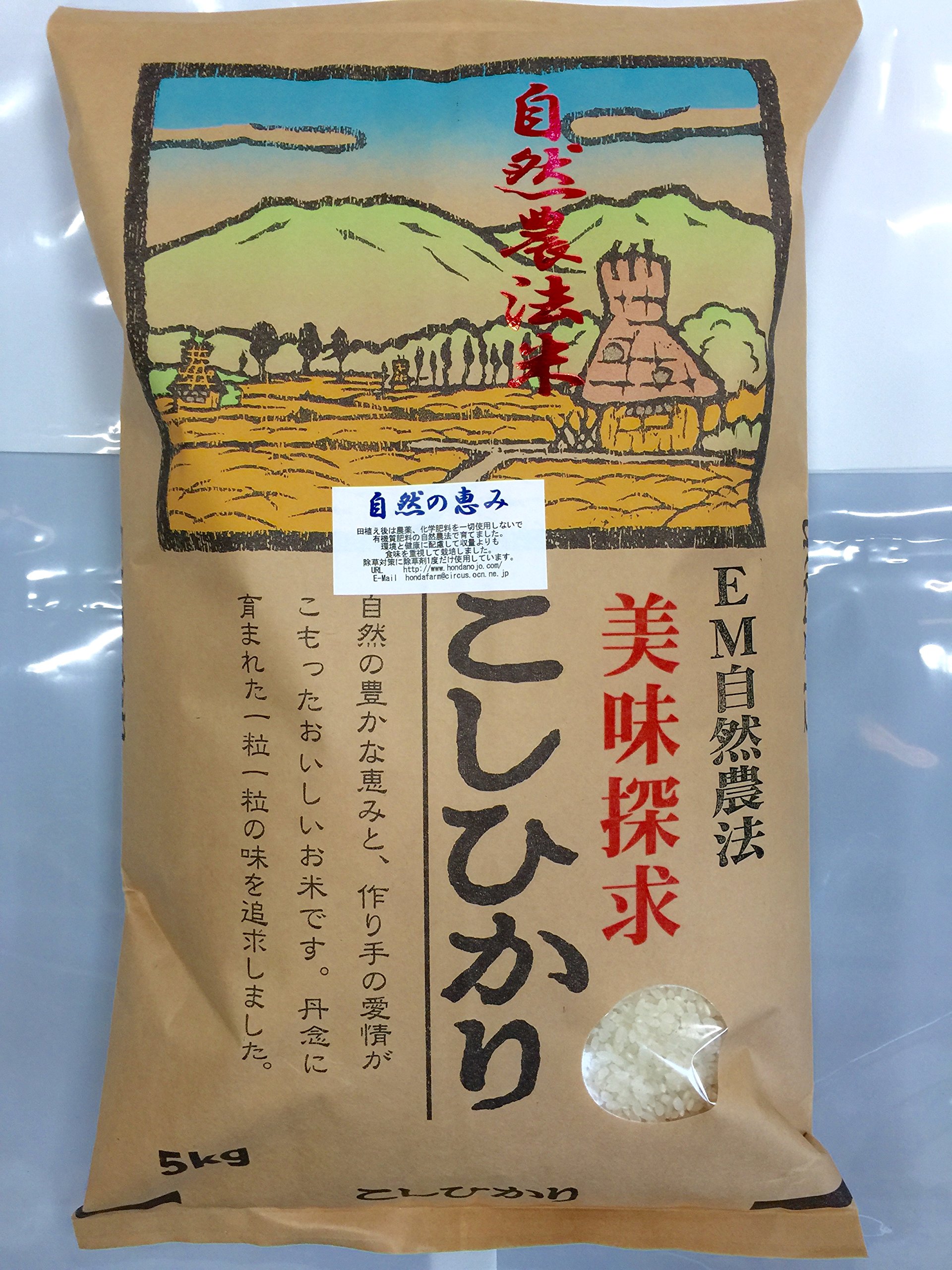 令和5年石川県産こしひかり 玄米20kg