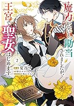 魔力がないと勘当されましたが、王宮で聖女はじめます2 (ＦＬＯＳ　ＣＯＭＩＣ)