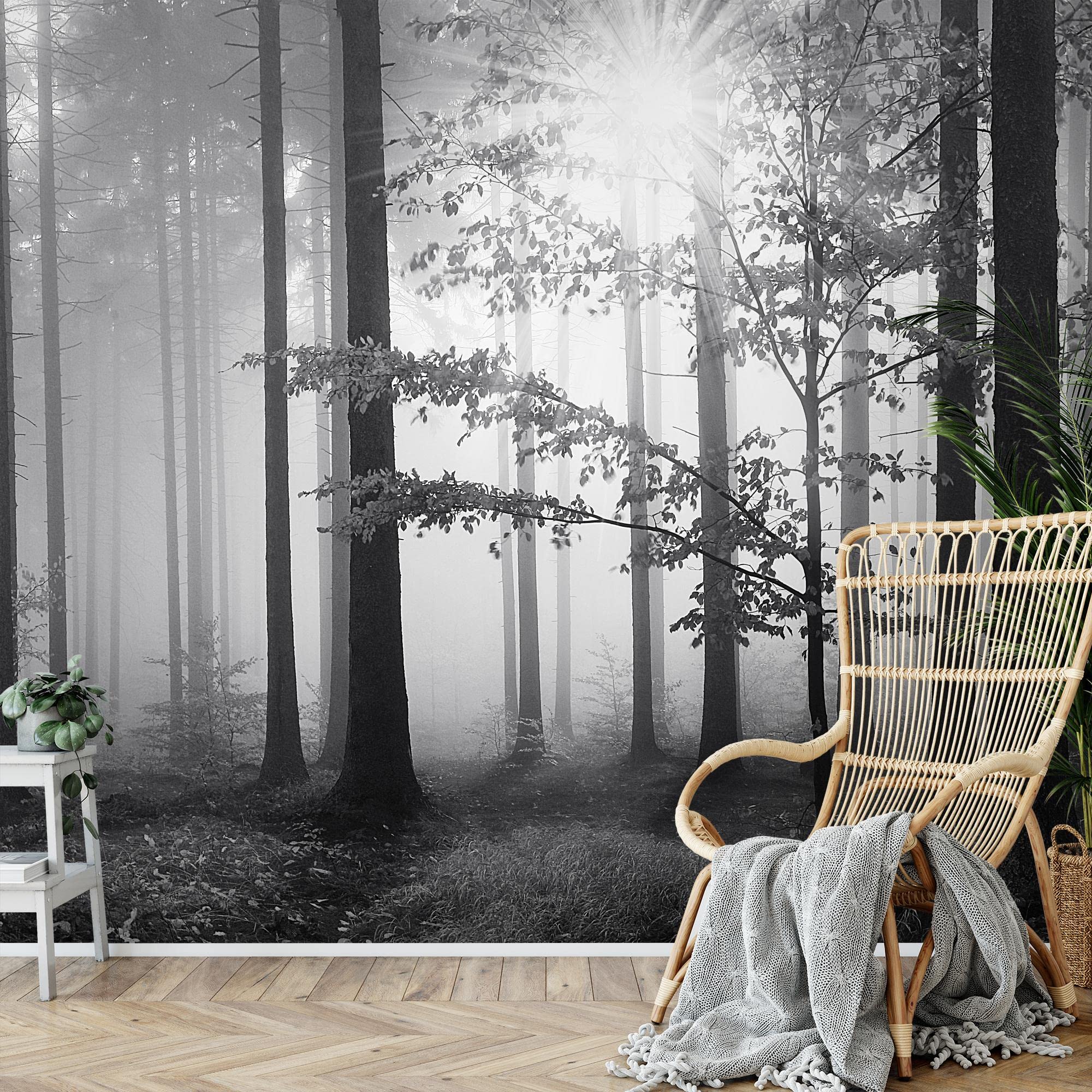 Runa Art Papier peint intissé Forêt dans le brouillard 352 x 250 cm Toison Mur XXL Tableaux Muraux Tapisserie Photo Décoration Murale Salon Chambre Noir Blanc 9241011a