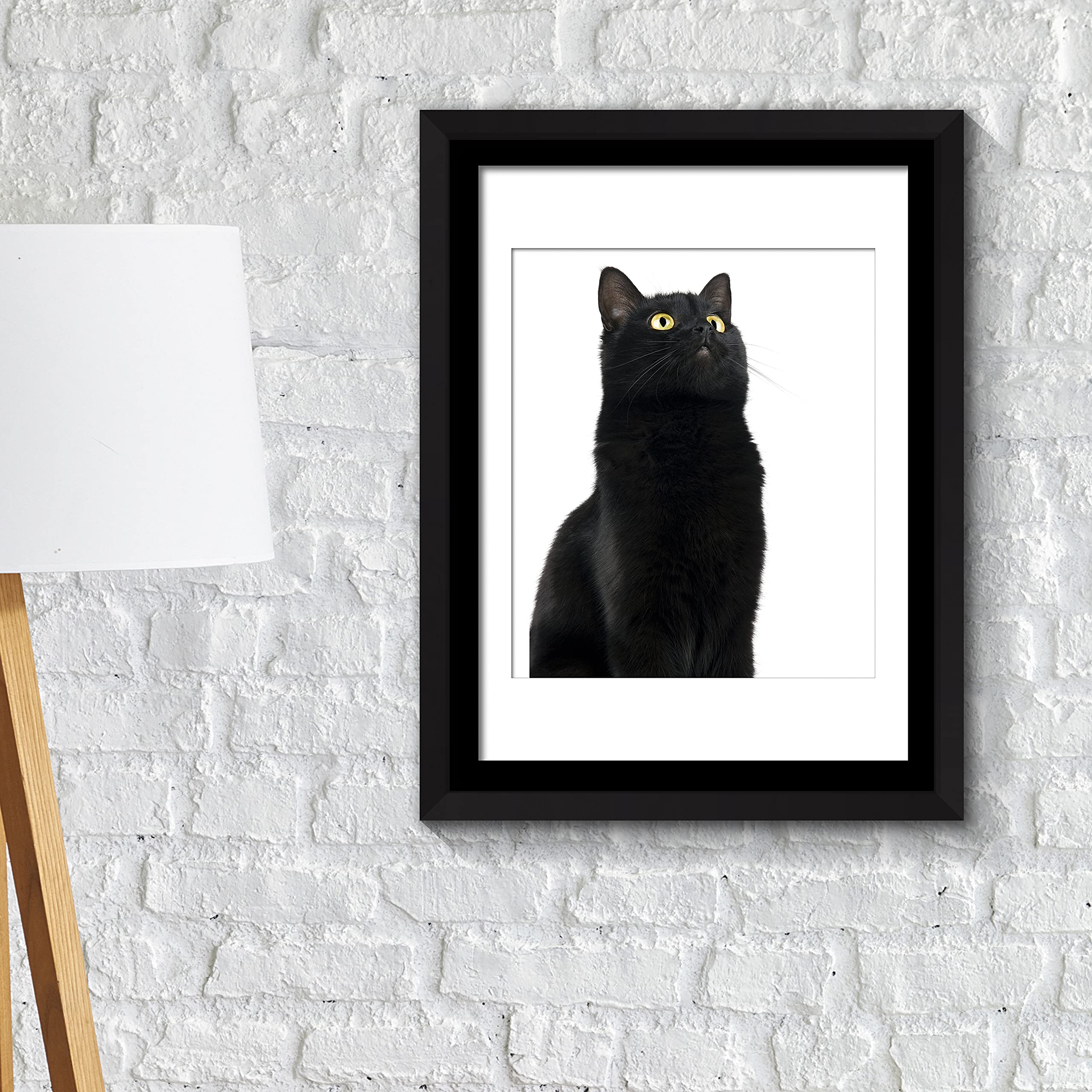 Walplus Cute Black Cat Wall Art Frame, Vinyl, Multi-Colour, 42.6 x 32.6 x 1.5 cm