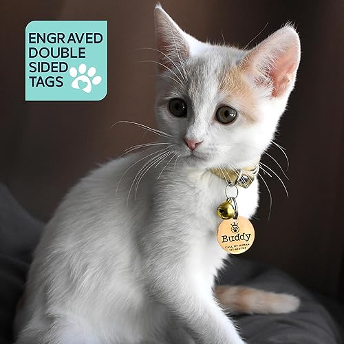 Miniatura 6 de Placa de identificación de perro grabada de acero inoxidable, 5 formas y 4 colores, grabada en ambos lados, presonalizada con 10 iconos opcionales,