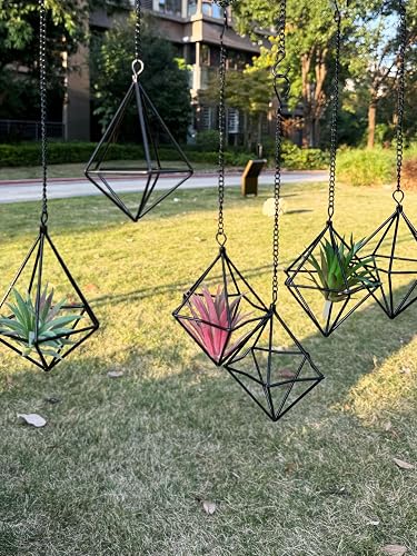 Clearance 6 Pack Hanging Metal Air Plant Holders with Chain,