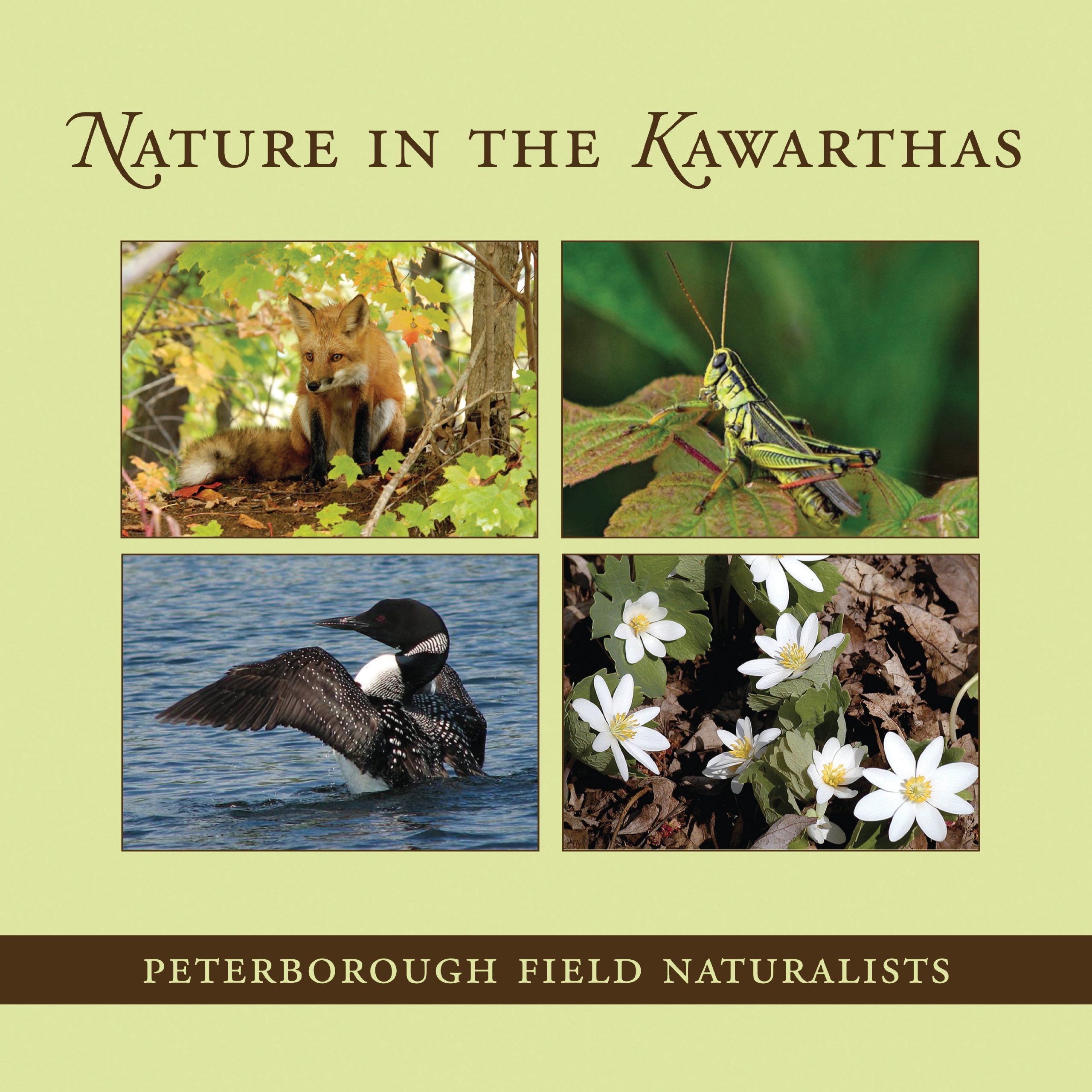Buy Nature in the Kawarthas (Quest Biography) — BookShops.in