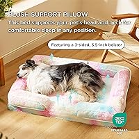 Vista 277 de Bedsure - Cama ortopédica pequeña para perros, sofá cama lavable para perros pequeños, espuma de soporte con funda extraíble y lavable, forro Verde
