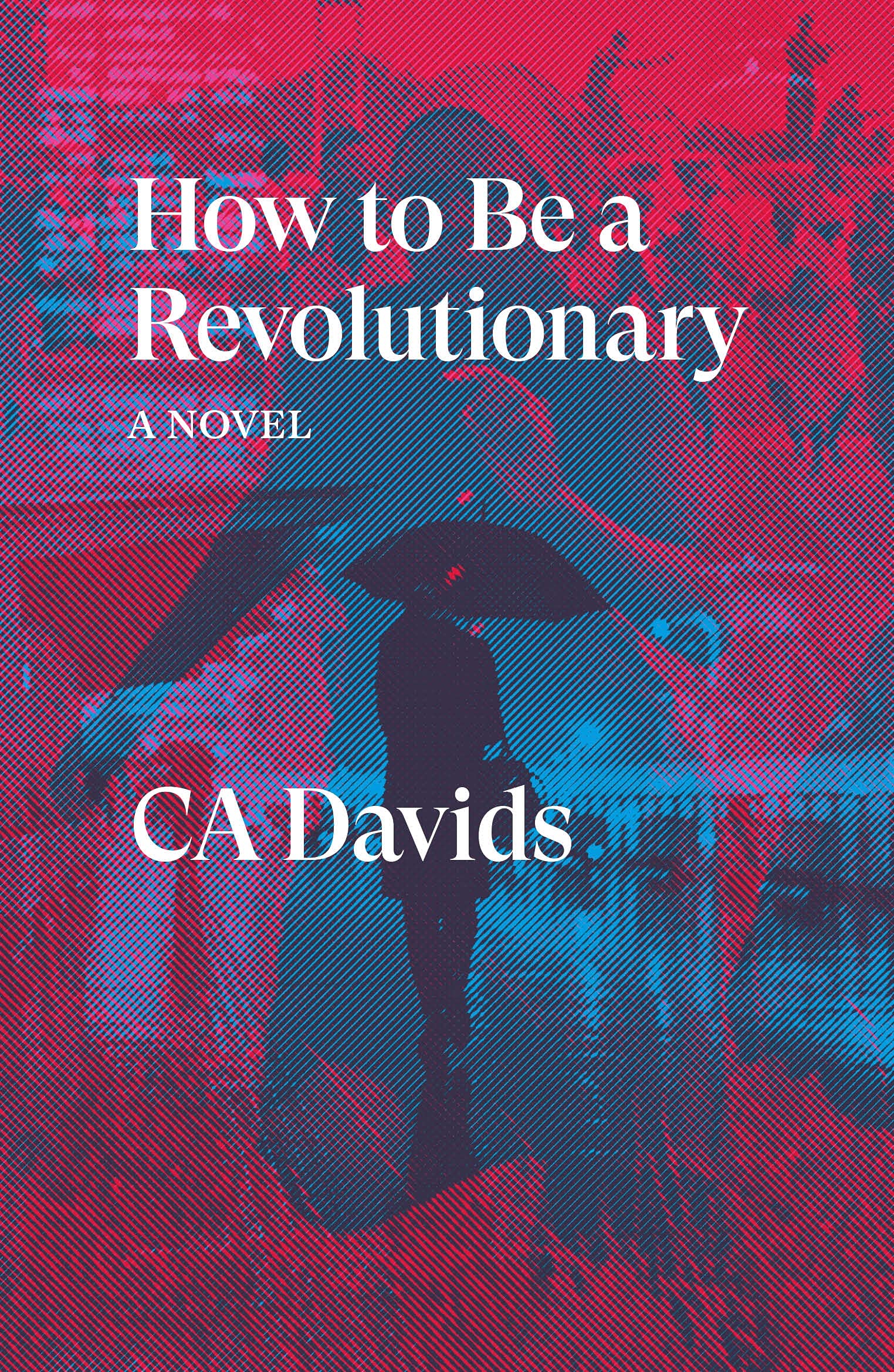 How to Be a Revolutionary: A Novel (Verso Fiction)