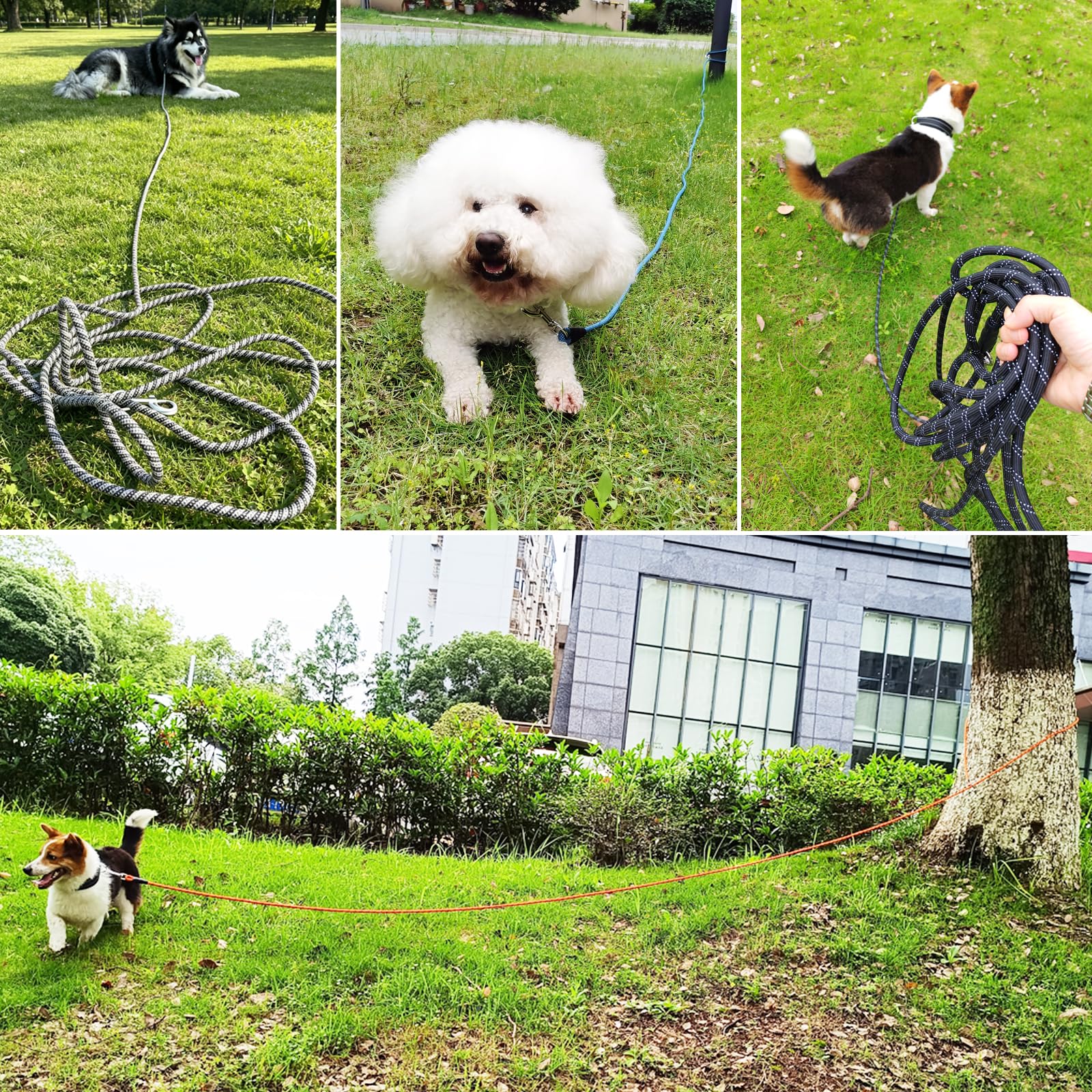 Laisse réfléchissante pour chien de 4,6 m, 9,1 m, 15,2 m de long, corde d'attache réfléchissante pour jardin, dressage d'obéissance, camping, jeu, tapis de jardin pour chiens de grande et