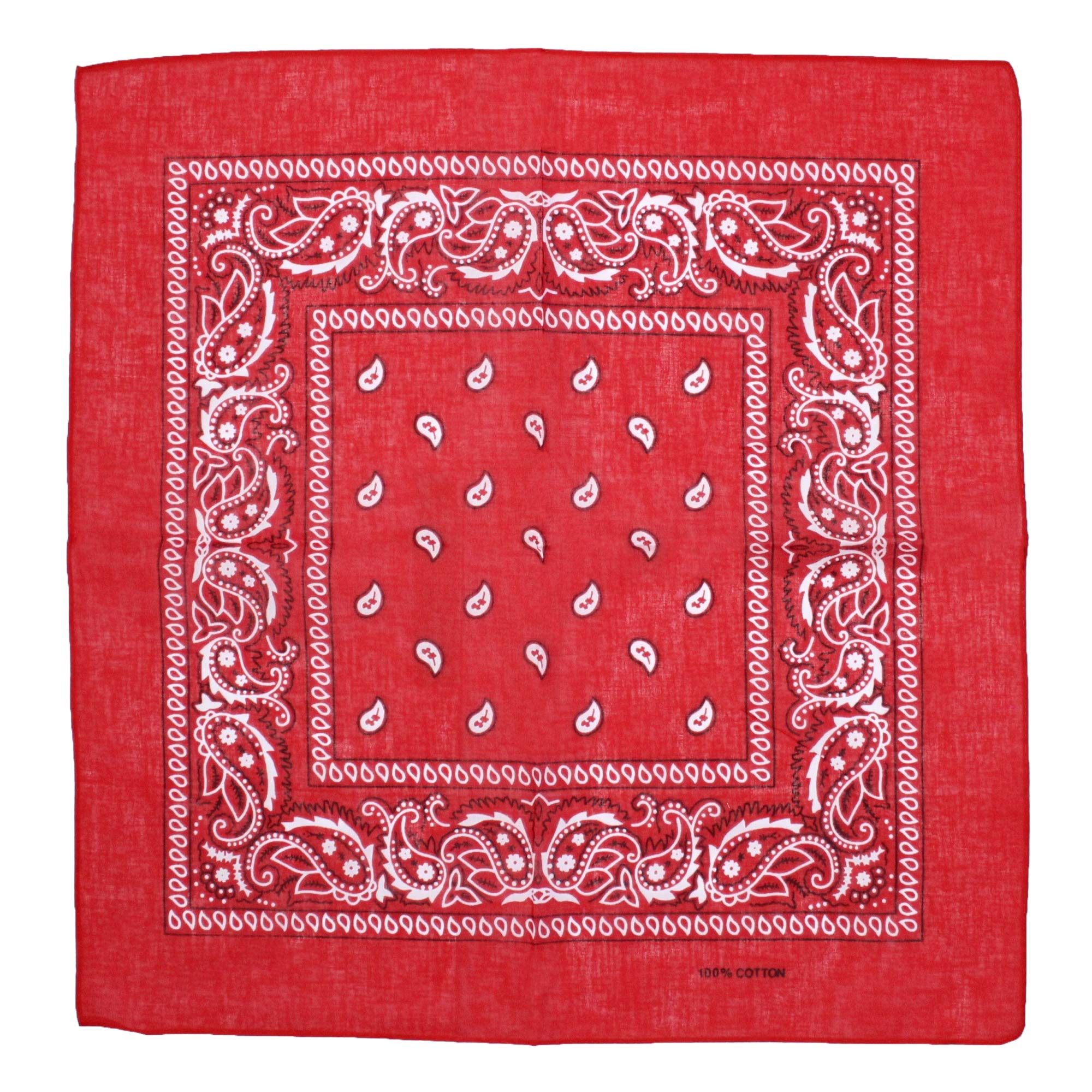 Zac's Alter Ego Retro Vintage Style Cowboy Paisley Bandana/Neckerchief/Durag