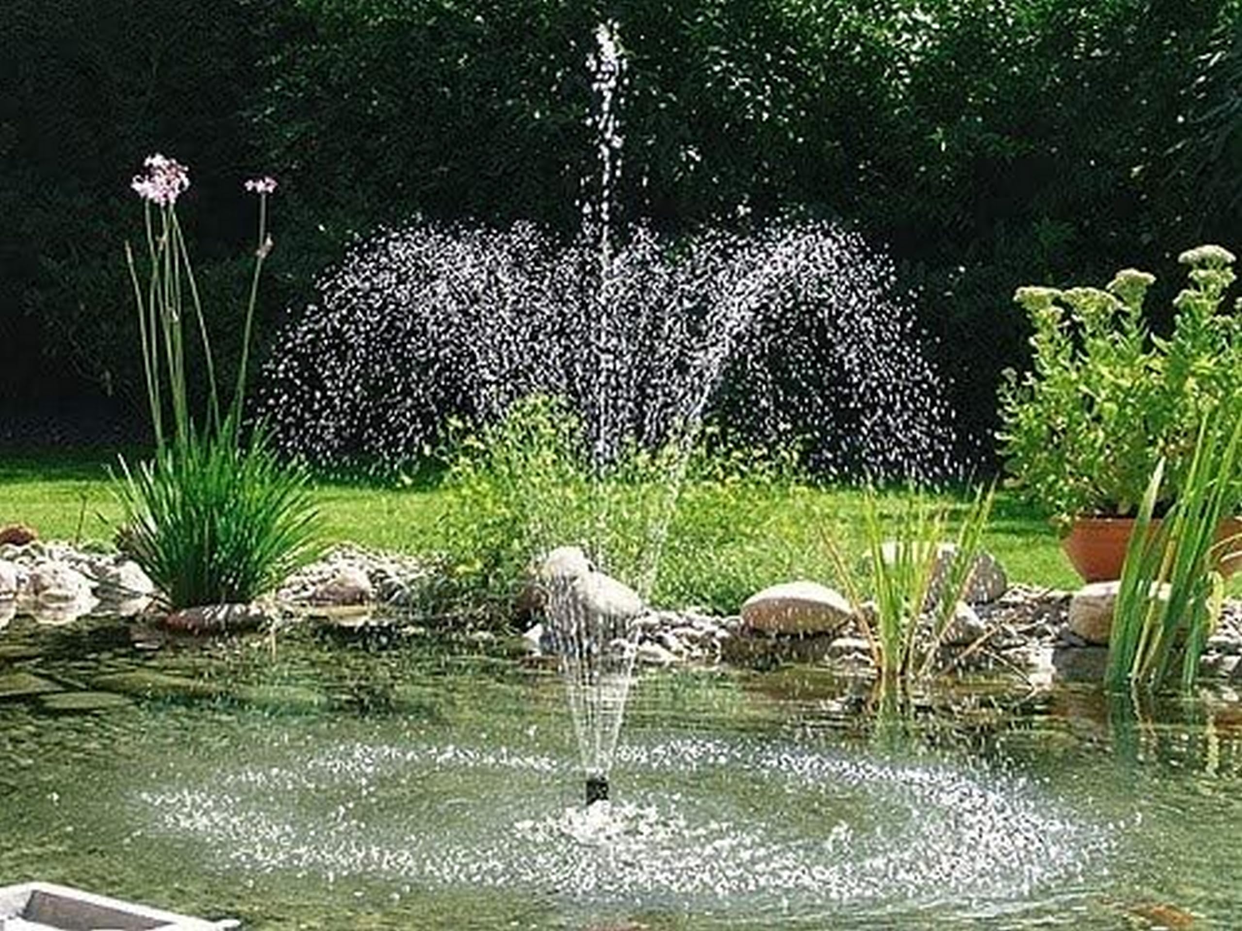 Pontec PonDuett 5000 – 2-in-1 Unterwasserfilter mit Wasserspielpumpe – Teichpumpe mit Filter – Teich Springbrunnen für Teiche bis 5.000 l – Filter mit Springbrunnenpumpe - 4 Fontänenaufsätze