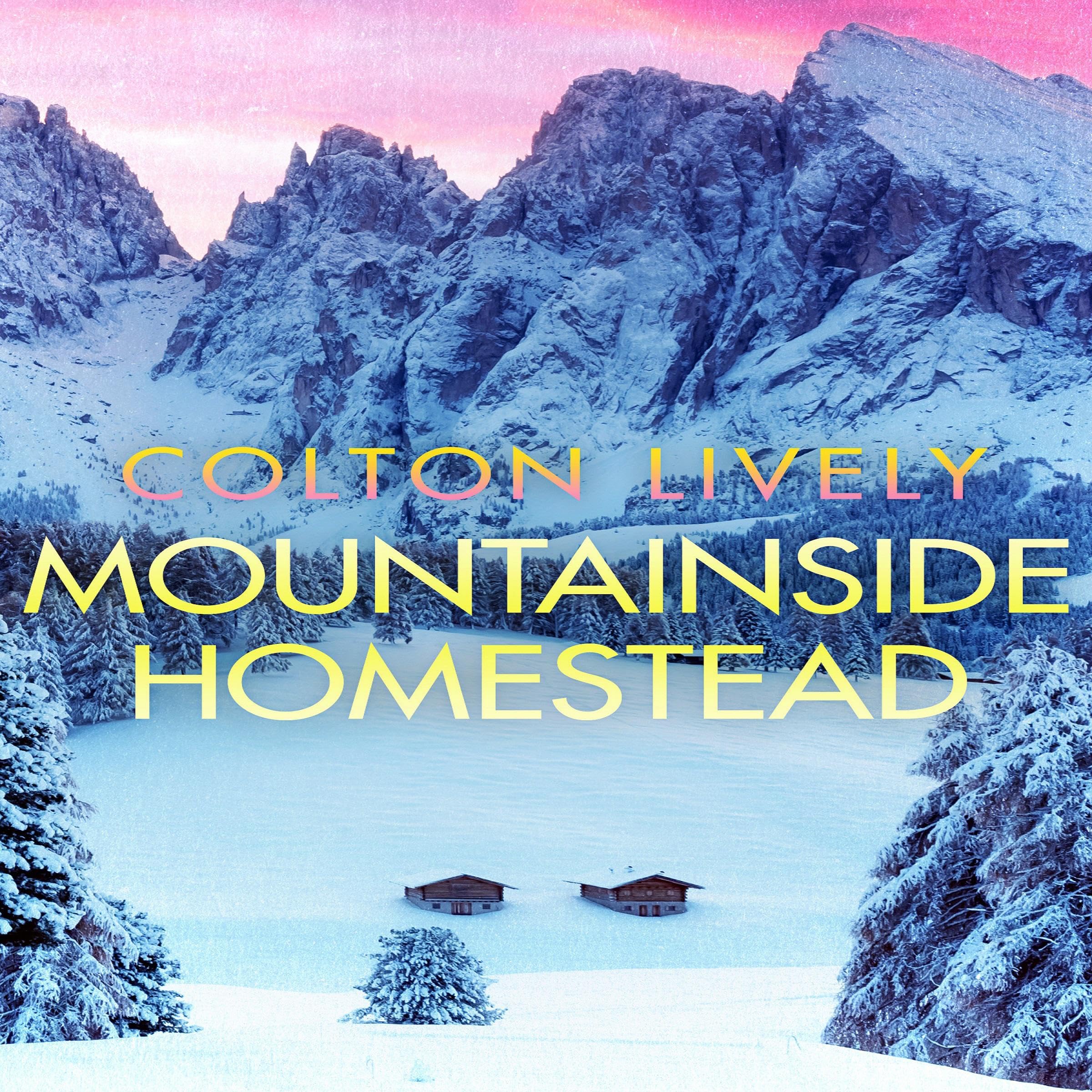 Cover art for Mountainside Homestead
