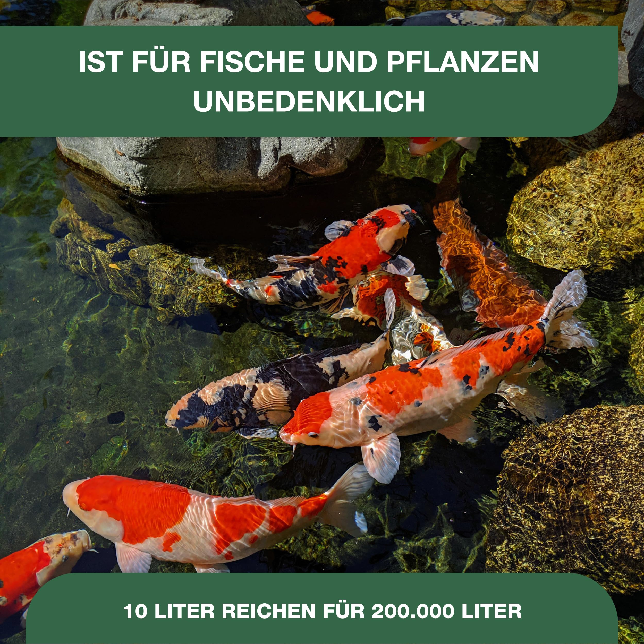 Teichpoint Grünes Wasser Liquid 10l | Flockungsmittel gegen Schwebealgen und Trübungen für schnelle Teichklärung | pH-stabil | Reichweite 200.000 Liter