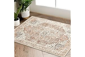 jinchan Area Rug 2x3