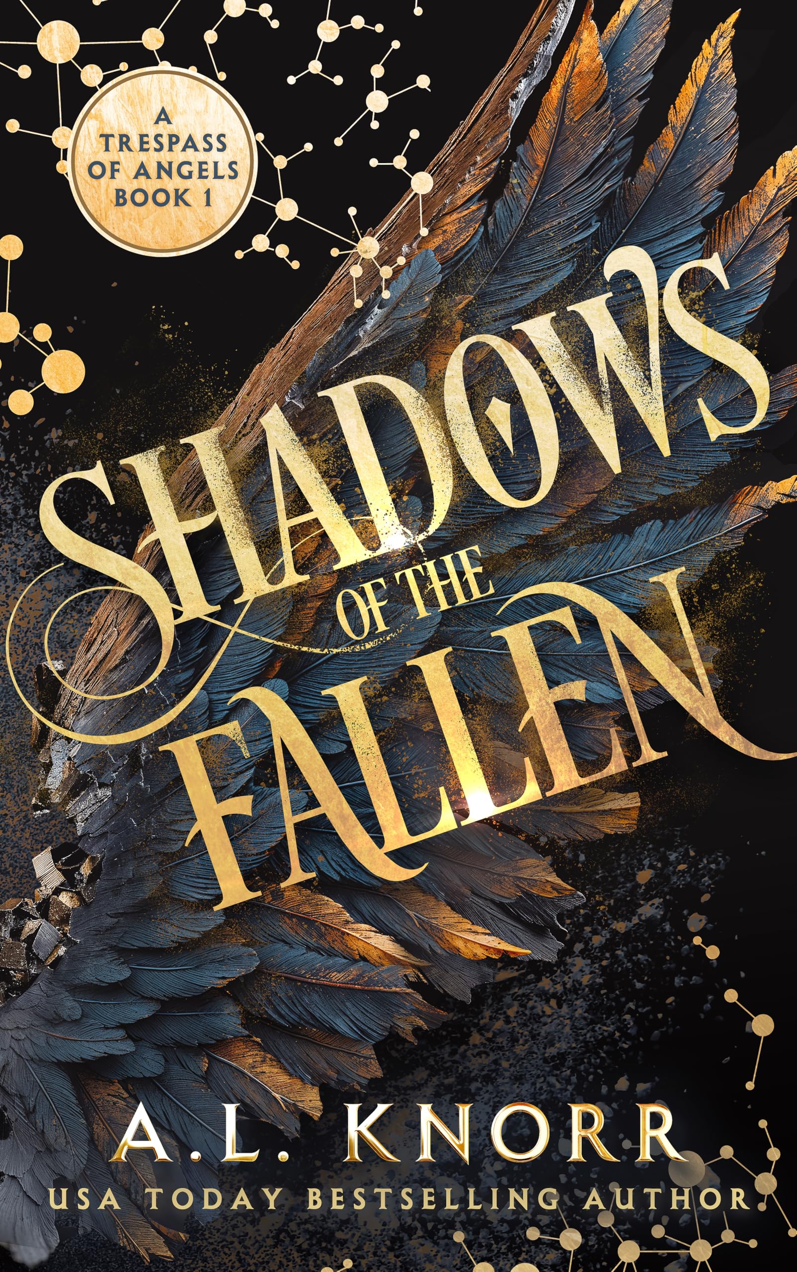 Shadows of the Fallen (A Trespass of Angels Book 1)