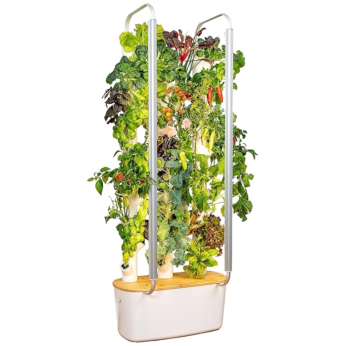 Buy Gardyn 2.0 Indoor Garden Hydroponics Growing System Vertical Garden