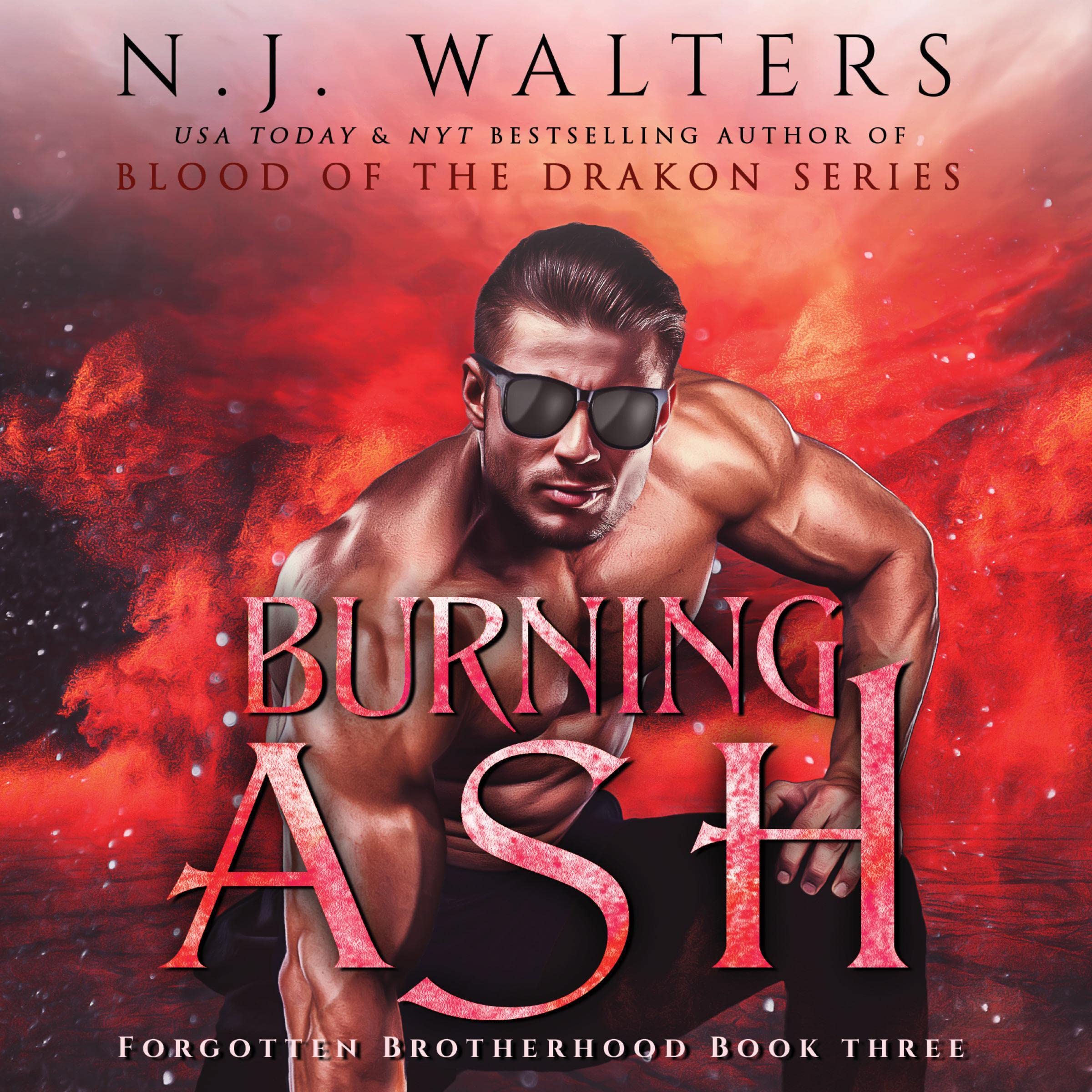 Cover art for Burning Ash