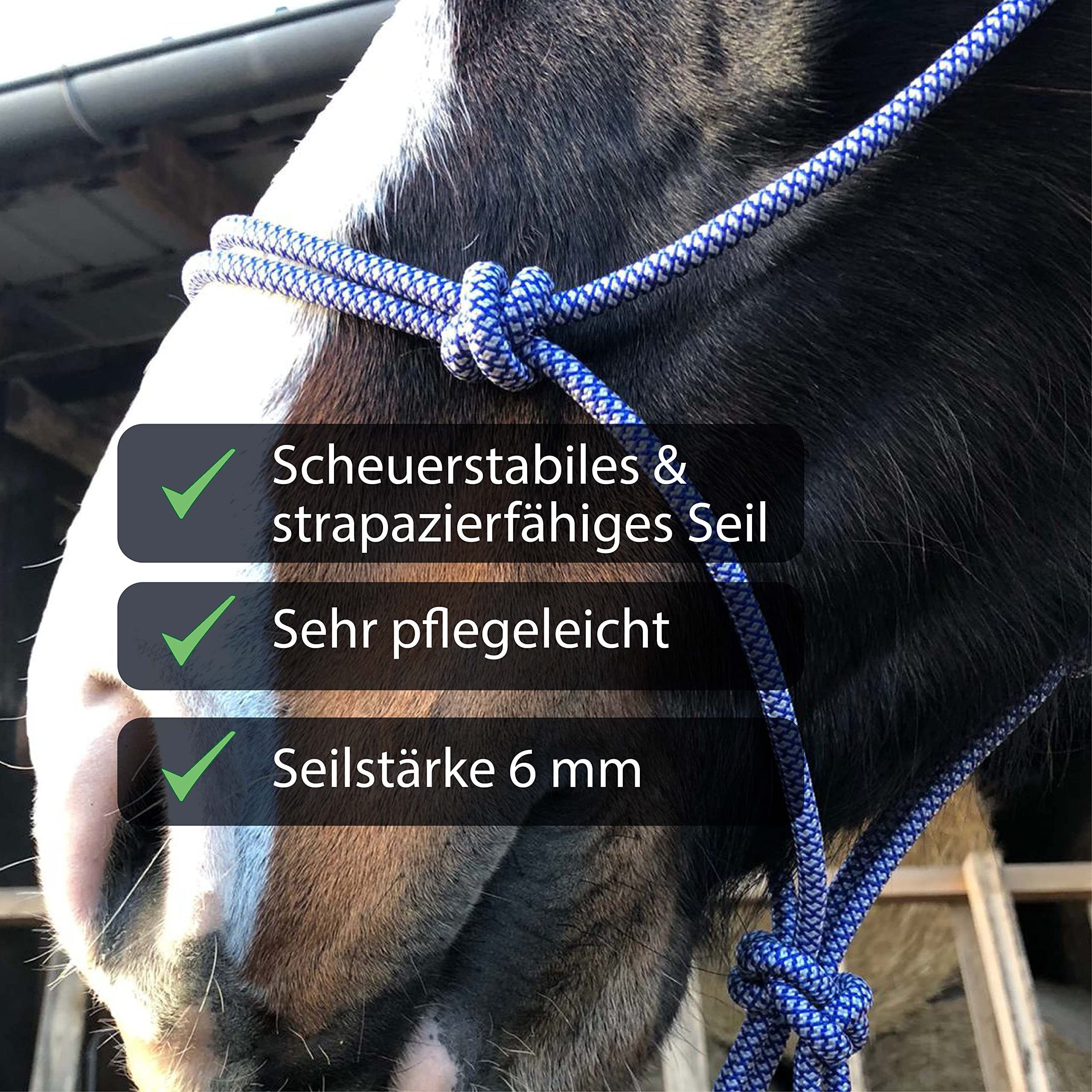 Nudos para trabajos en el suelo caballo – Nudos Cob ideal para trabajos al aire libre, trabajo en el suelo, entrenamiento de conducción o carga (sangre caliente (Full), azul real y blanco)