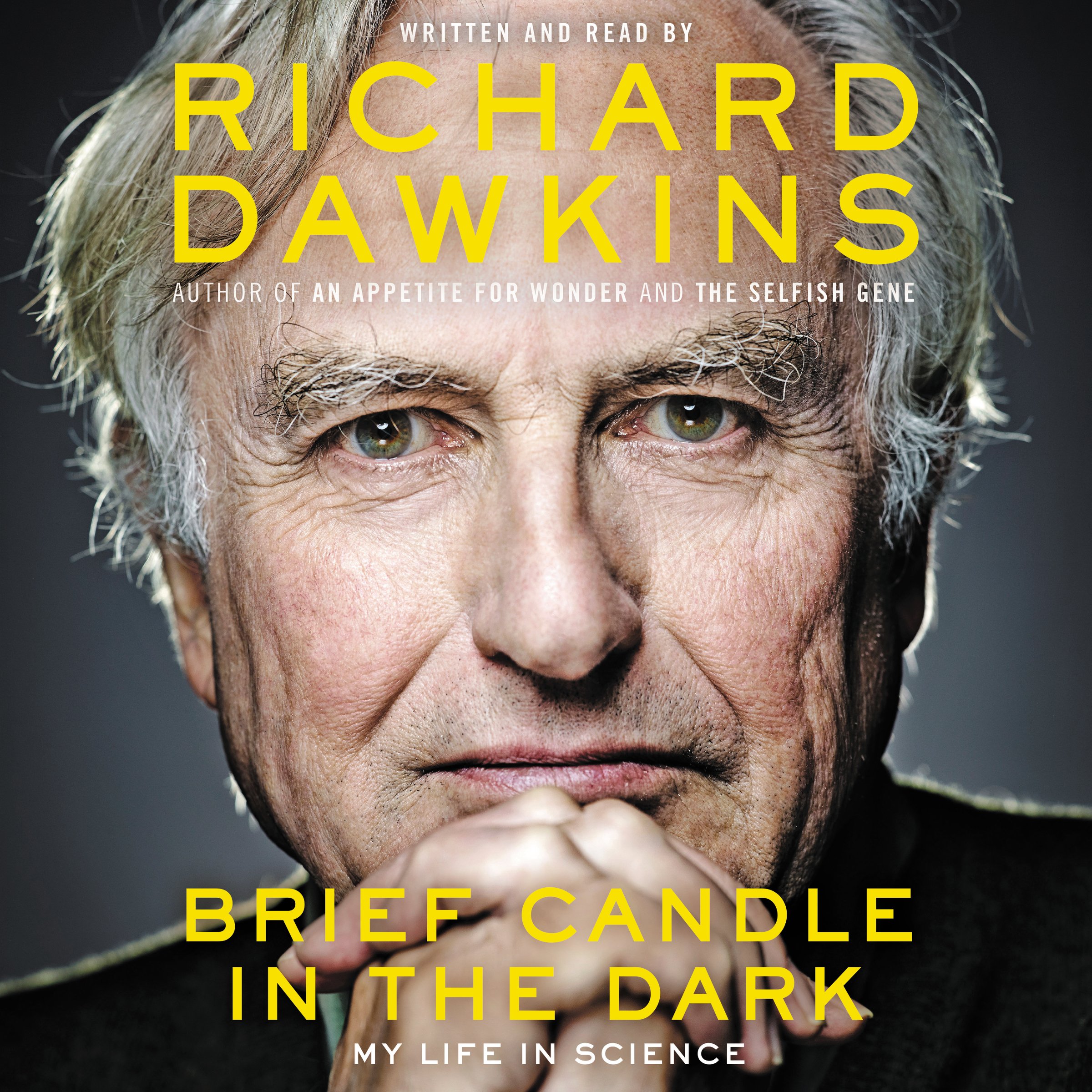 Cover art for Brief Candle in the Dark