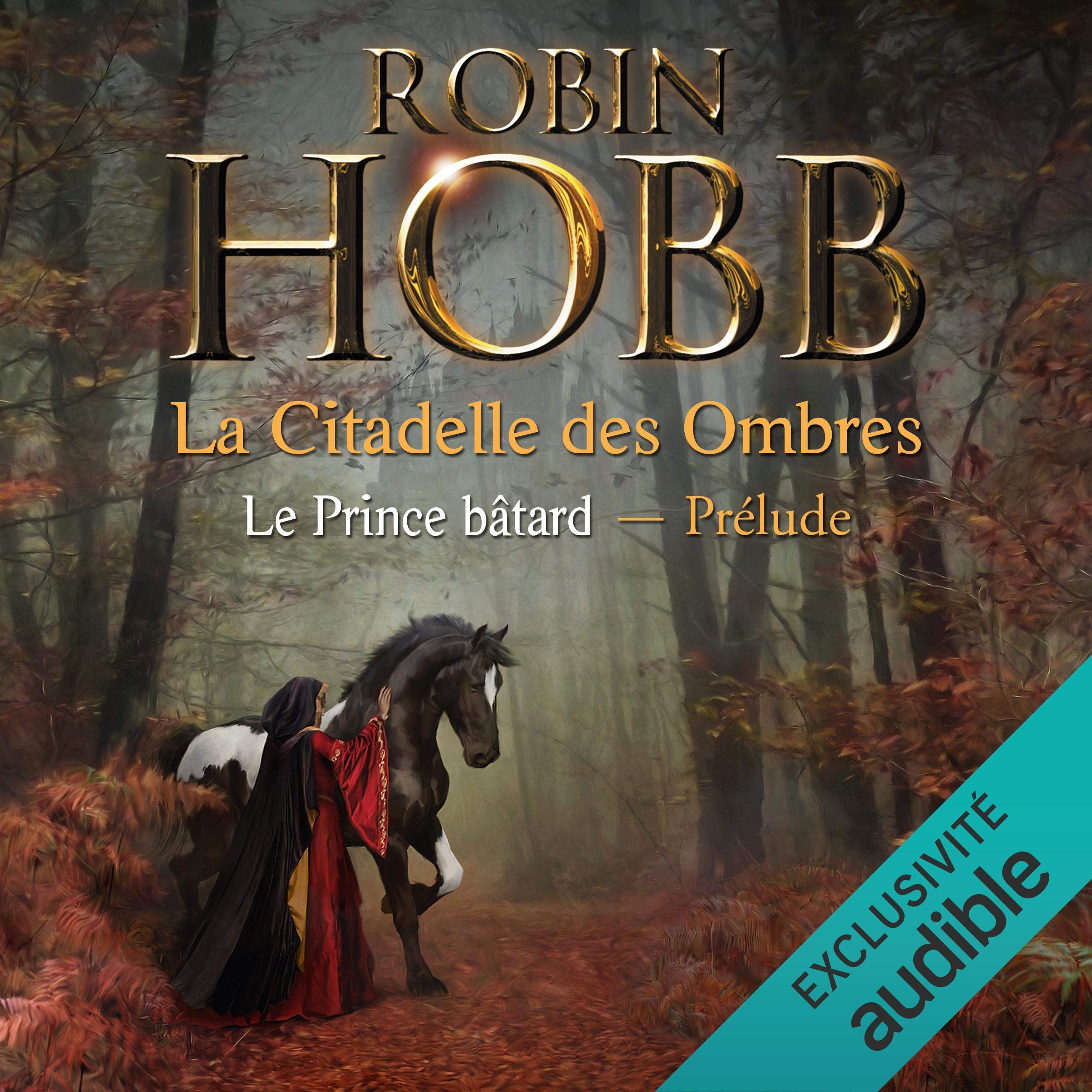 Cover art for Le prince bâtard