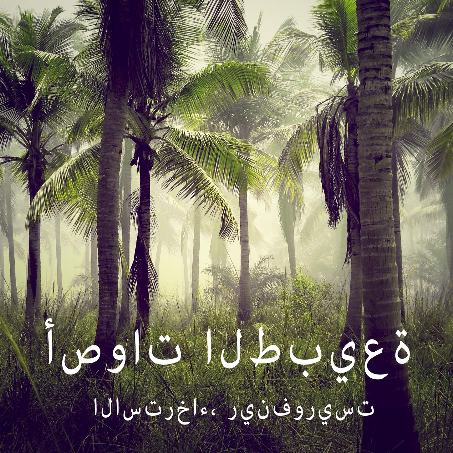 أصوات الطبيعة