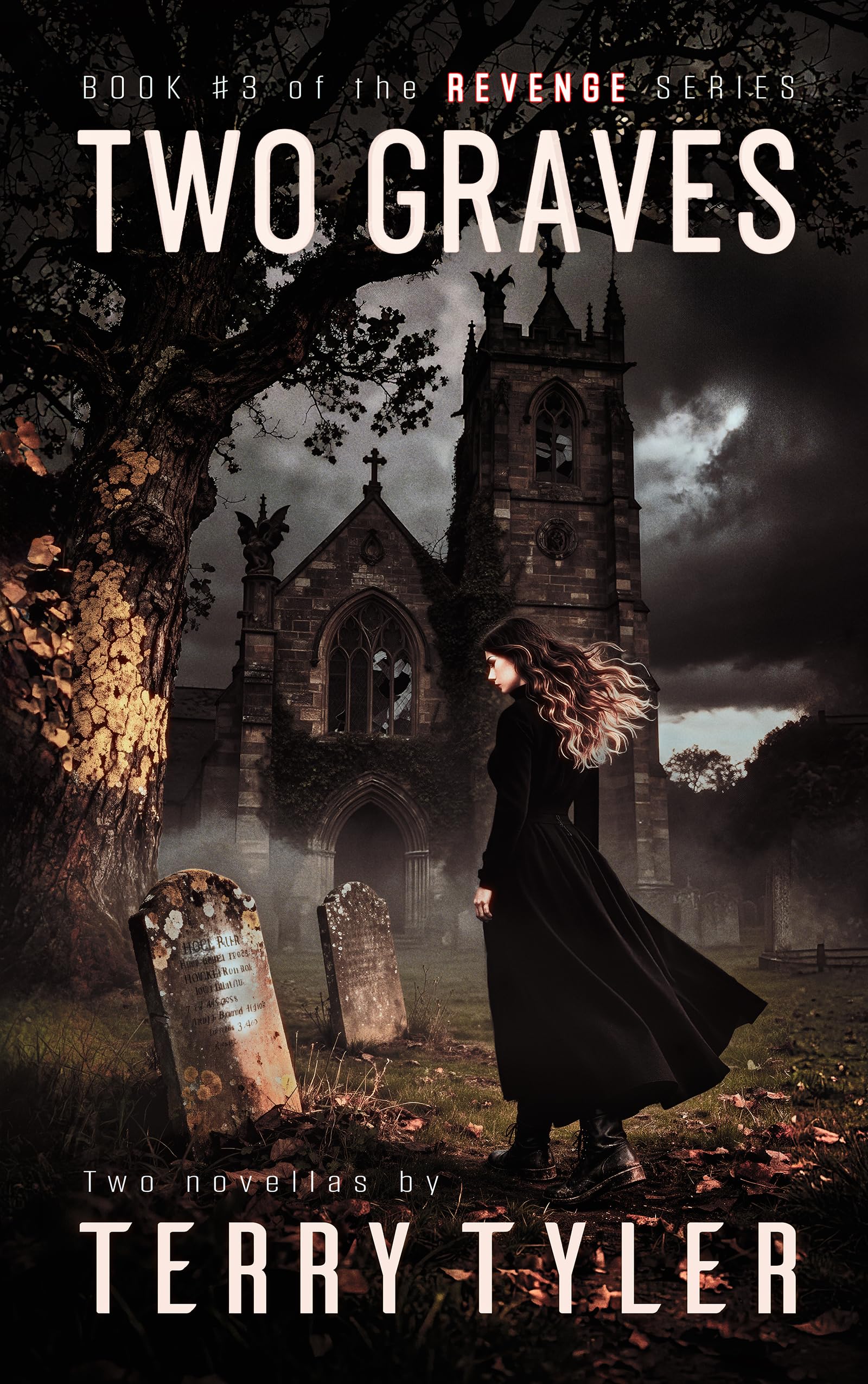 Two Graves (REVENGE Book 3)